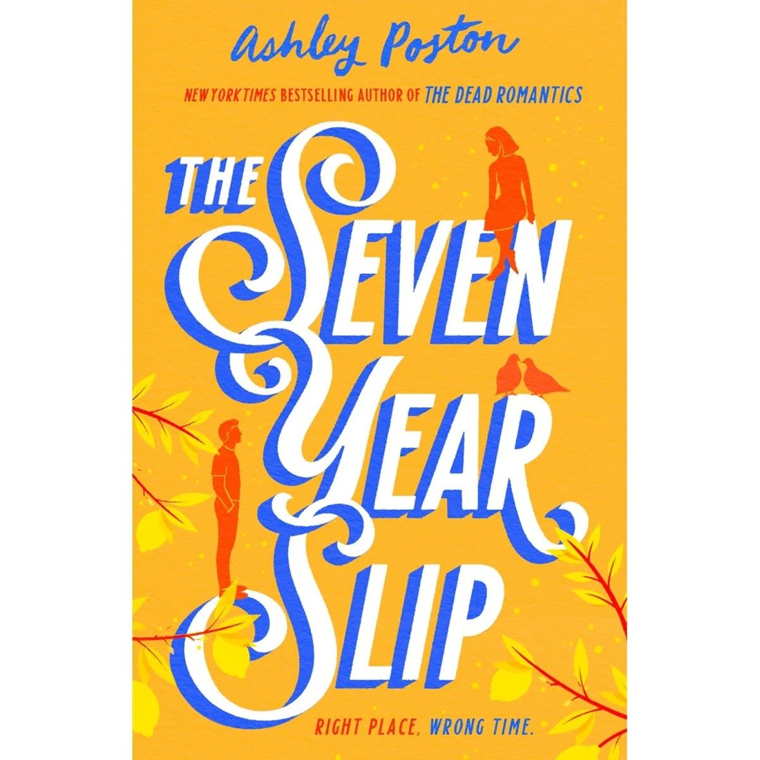 1 The Seven Year Slip by Ashley Poston - Book, 1 of 1