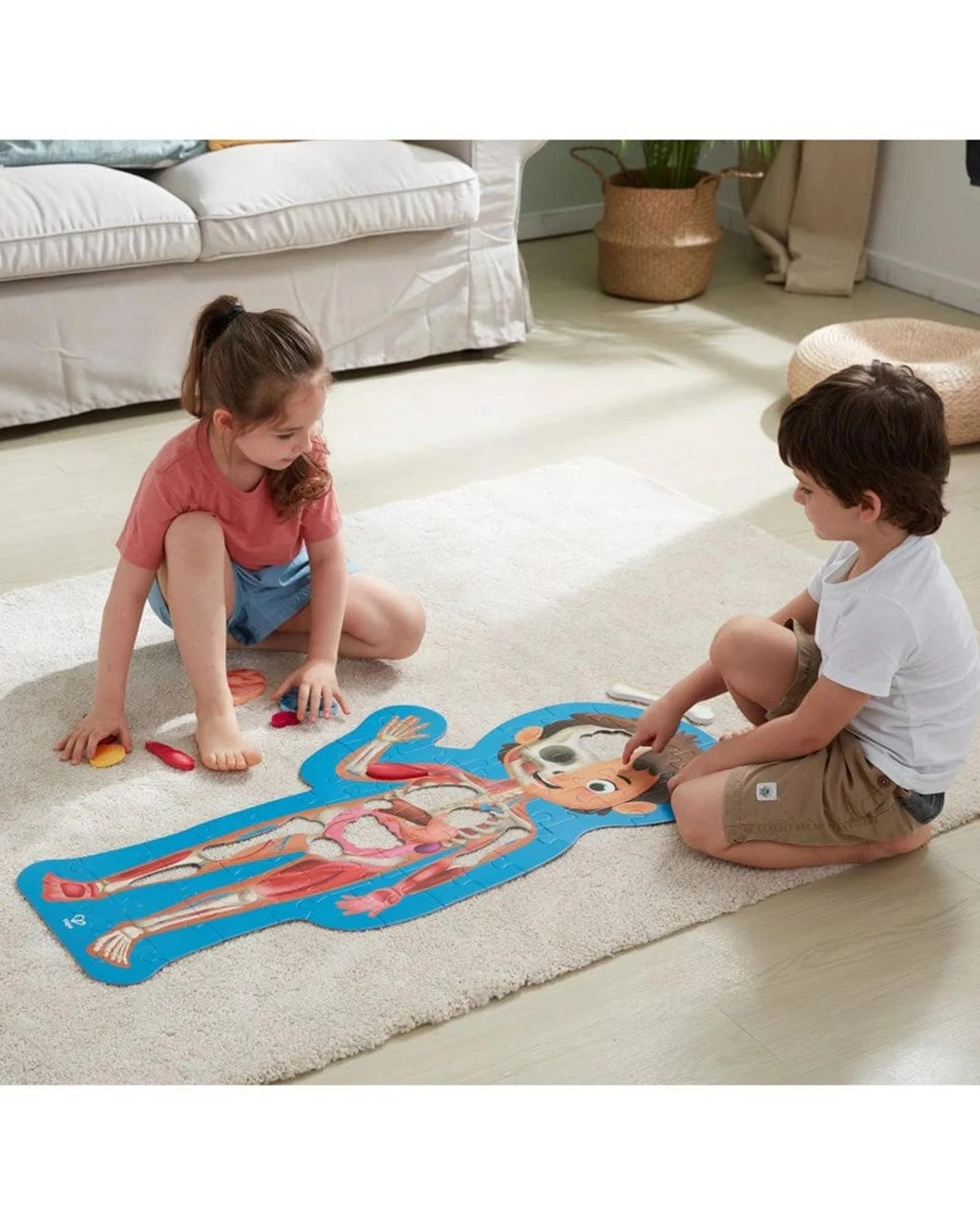 4 Hape Human Body Puzzle, 4 of 4