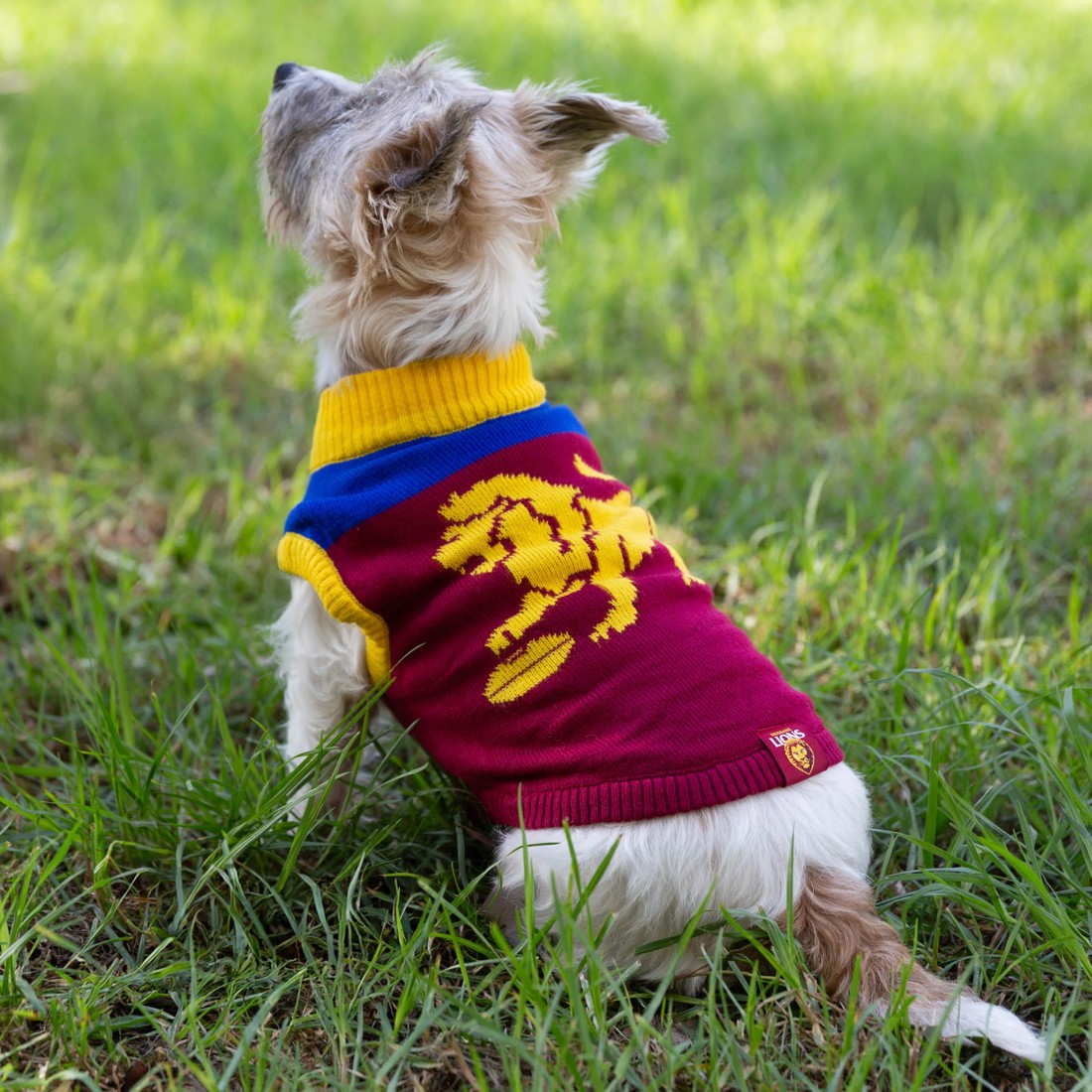 4 AFL Brisbane Lions Pet Jumper - Large, 4 of 4