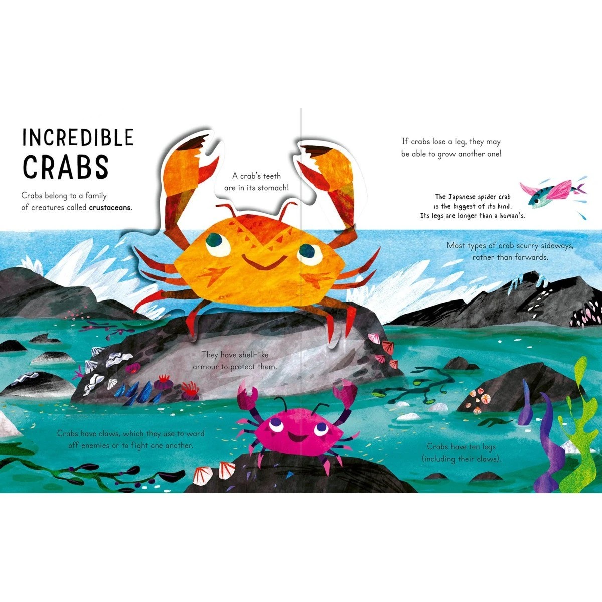 2 Curious Kids: Sea by Christiane Engel - Book, 2 of 2