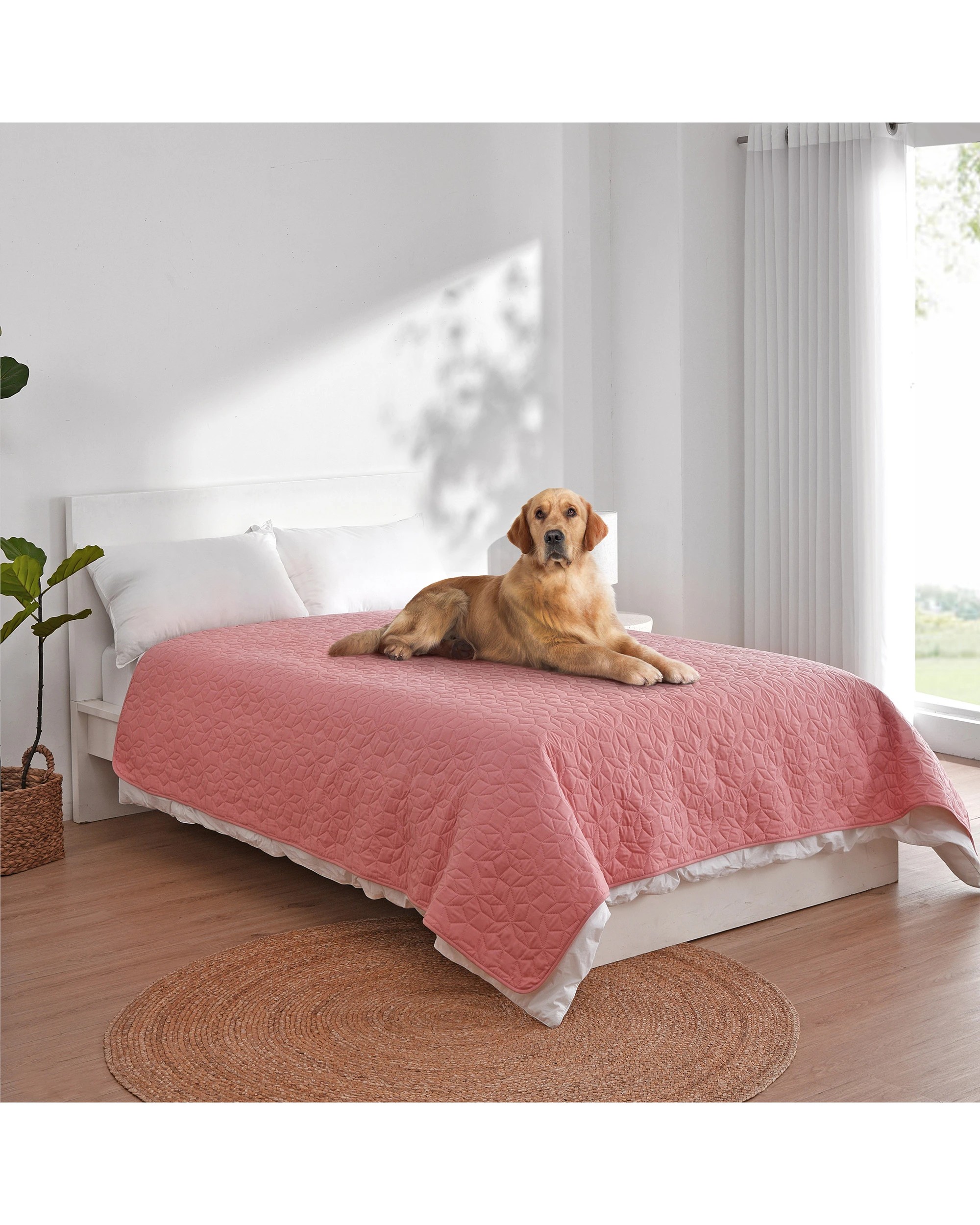 2 Charlie's Sofur Waterproof Dog Bed Cover Protector Double/Queen 208x208cm - Double/Queen - Pink, 2 of 10