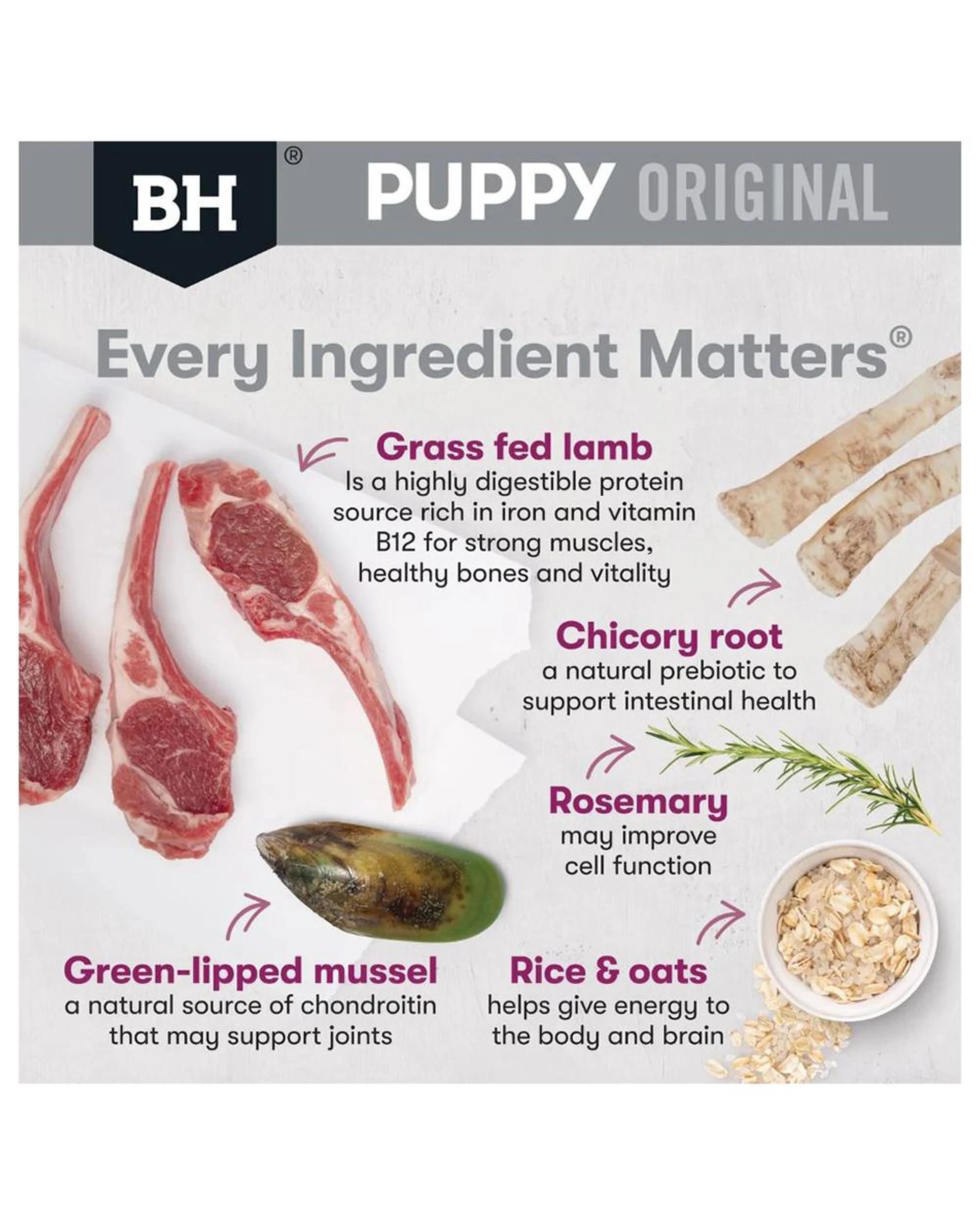 4 Black Hawk Puppy Large Breed Original Dry Dog Food Lamb & Rice 3kg, 4 of 9