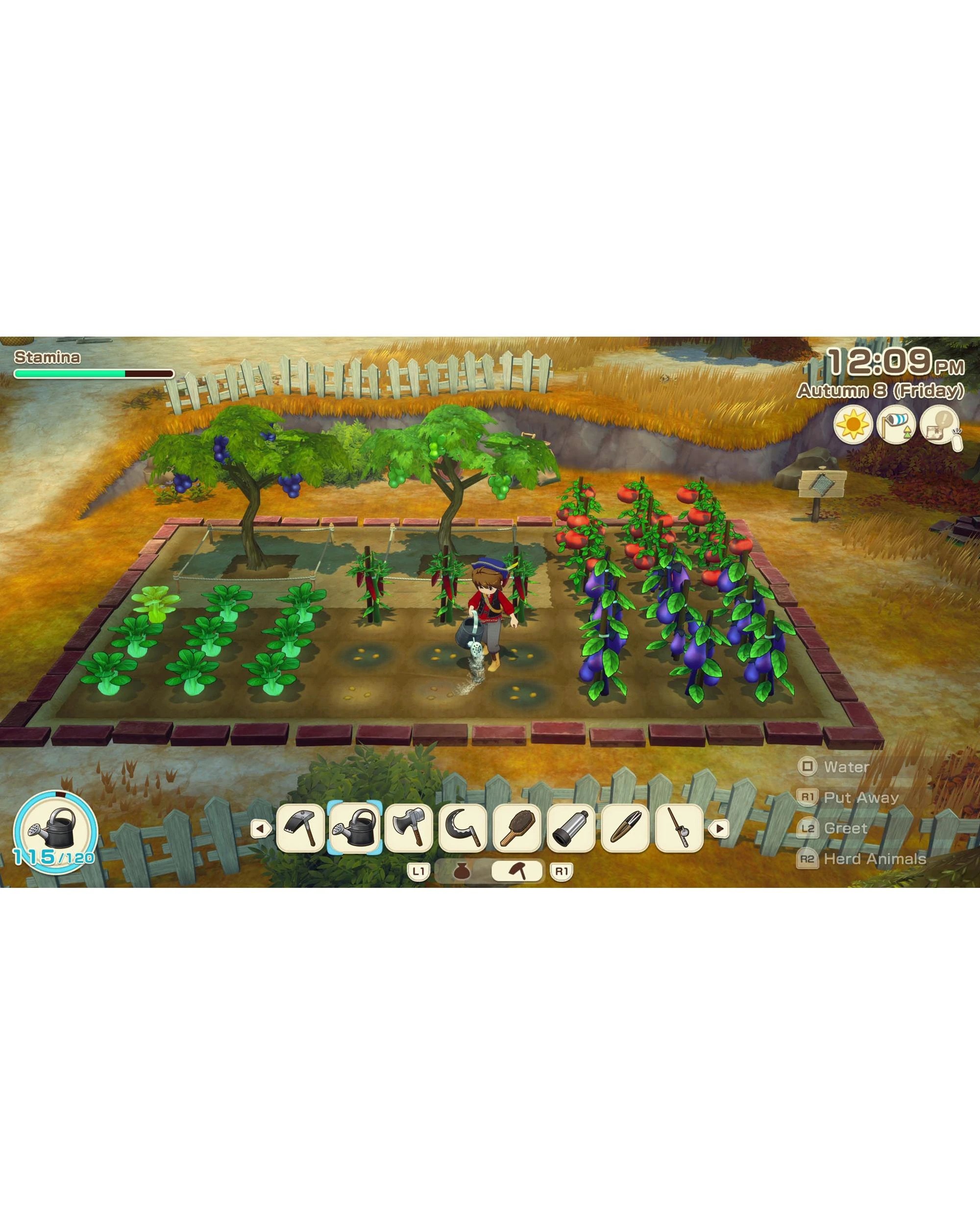 4 Story of Seasons Grand Bazaar - PS5, 4 of 8