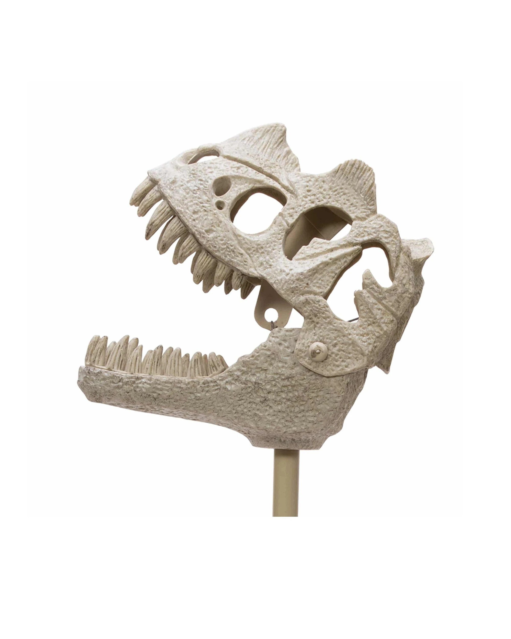 2 Schylling 2PK Dinosaur Fossil Chomper Play Kids/Children Toy 45cm - Natural, 2 of 3
