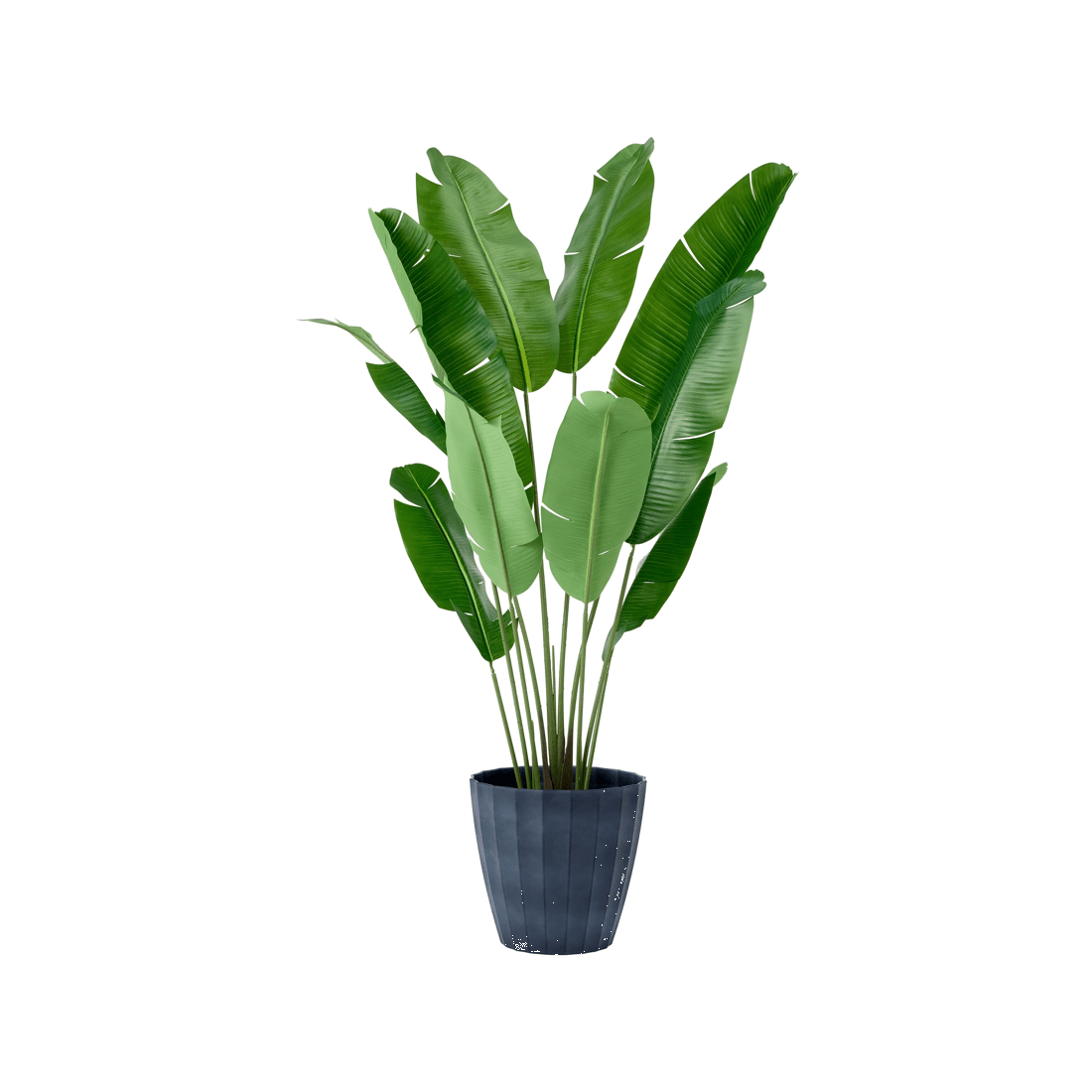 1 35cm Concave Black Plastic Pot, 1 of 4