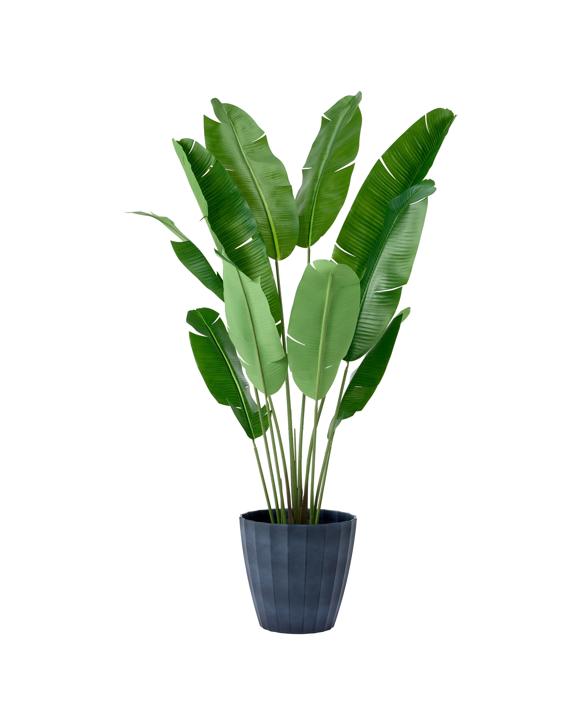 35cm Concave Black Plastic Pot