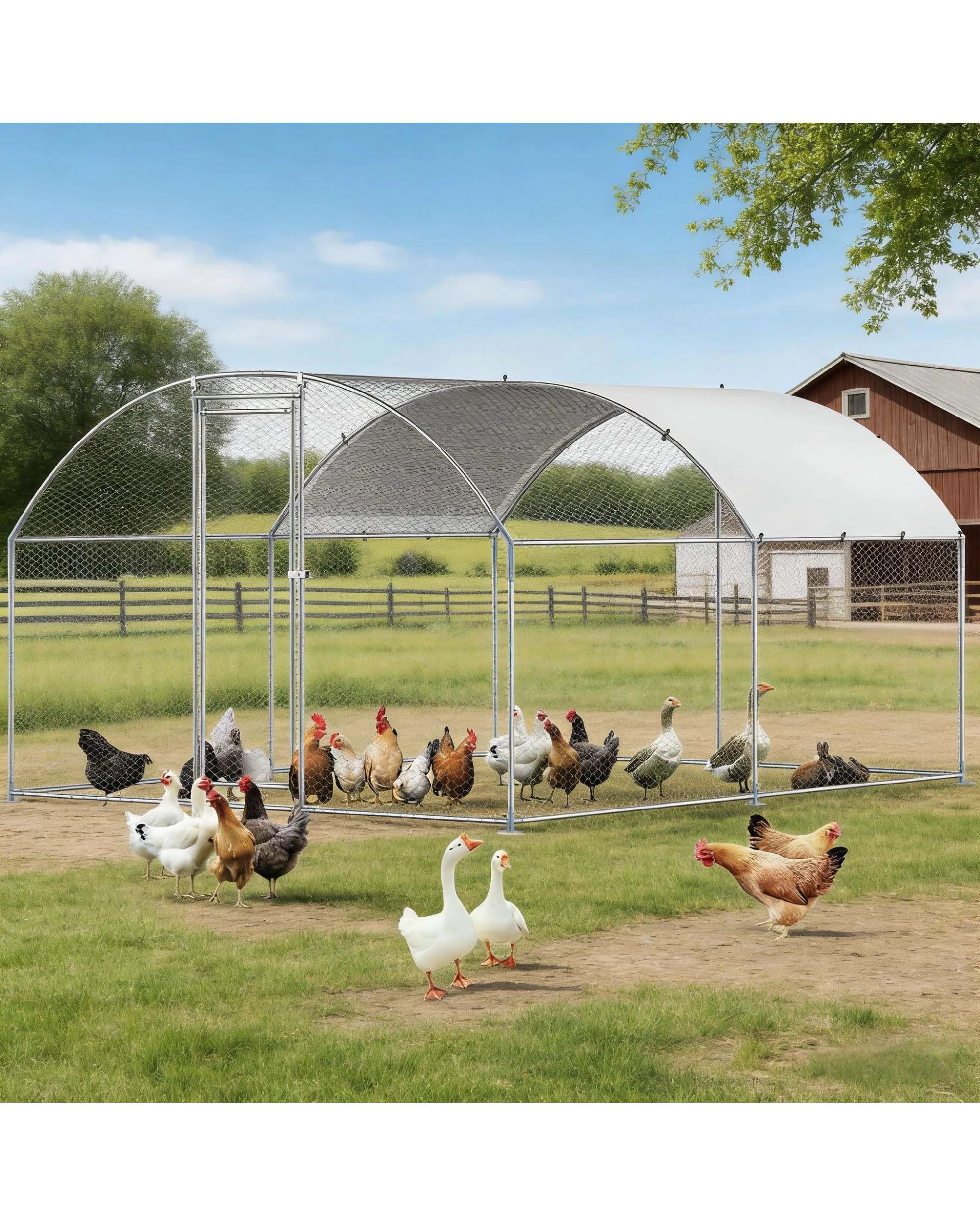 3 Advwin Walk In Chicken Coop, 3 of 7
