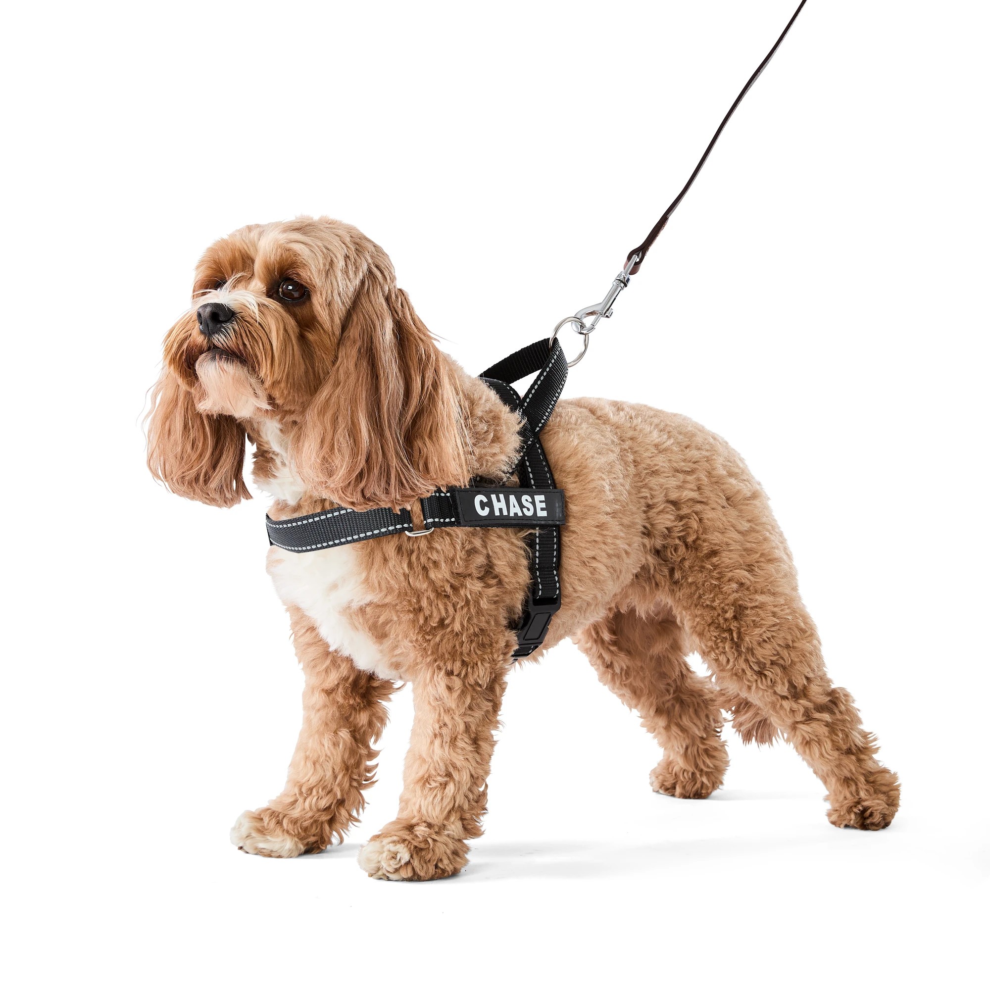 1 Pet Customisable Harness - Medium, 1 of 10