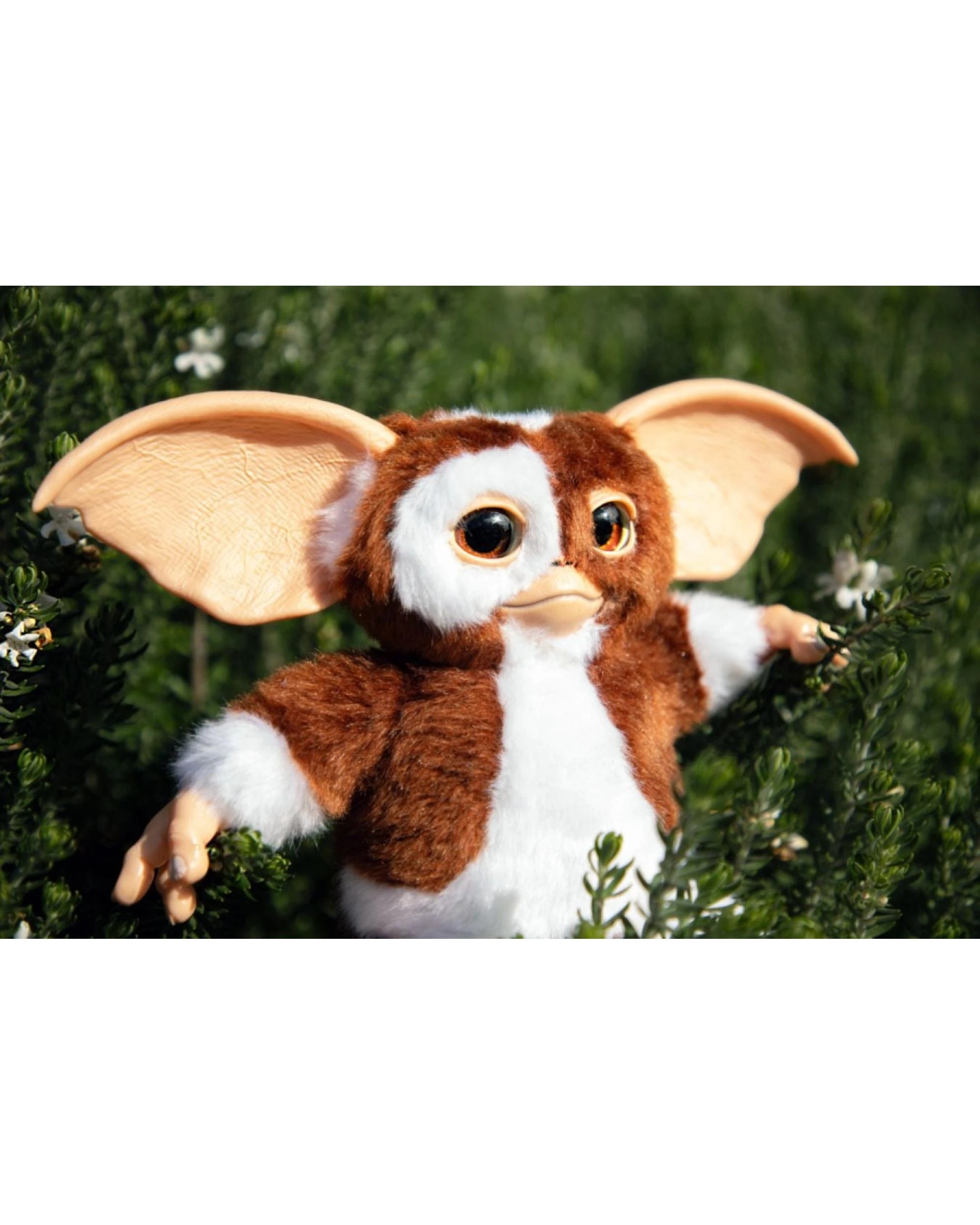 8 Gremlins Gizmo Replica Plush, 8 of 8