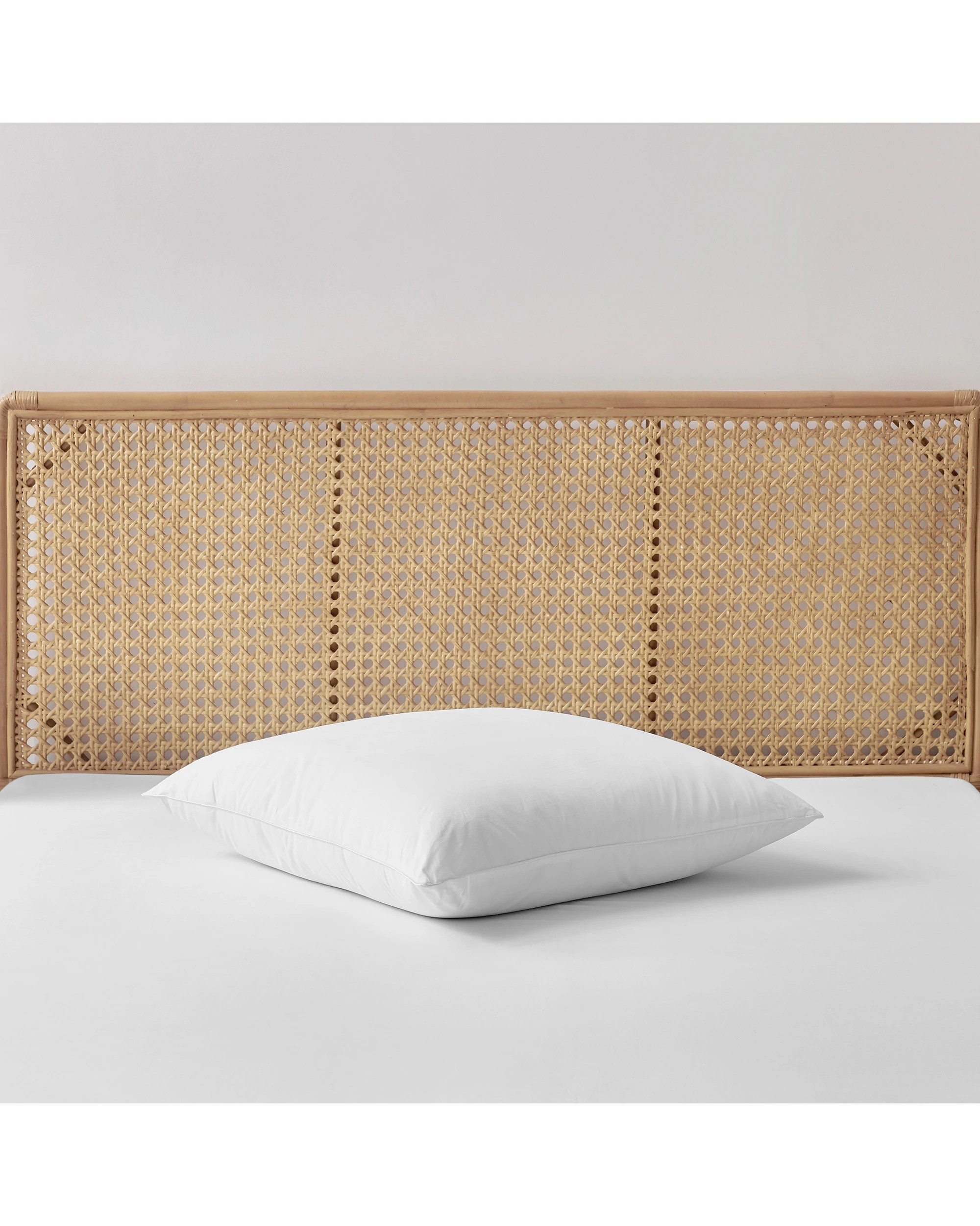 6 ESSN Healthguard Allergy Sensitive Euro Pillow - White, 6 of 7