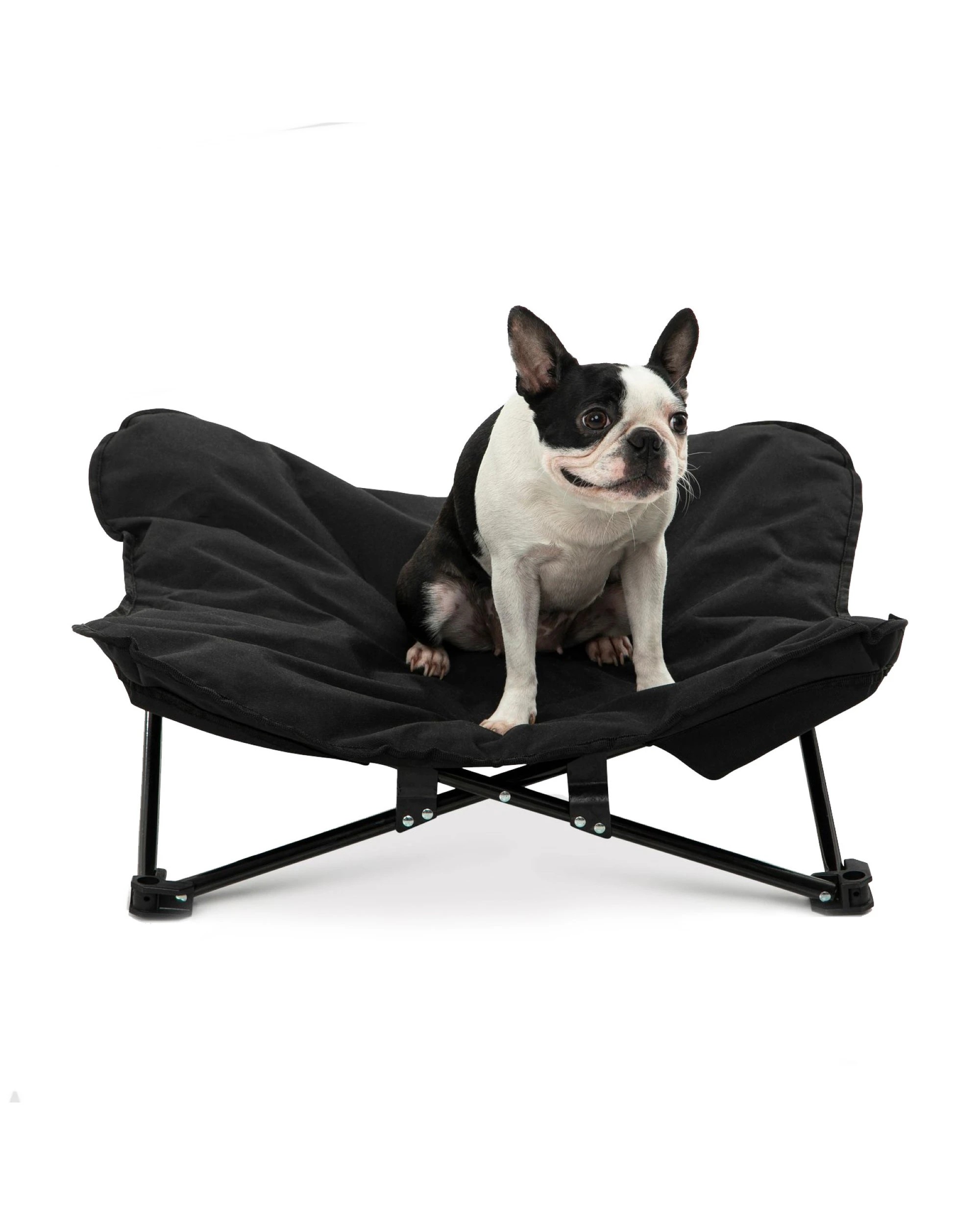 1 Charlie's Butterfly Foldable Outdoor Camping Dog Bed Medium - Black, 1 of 9