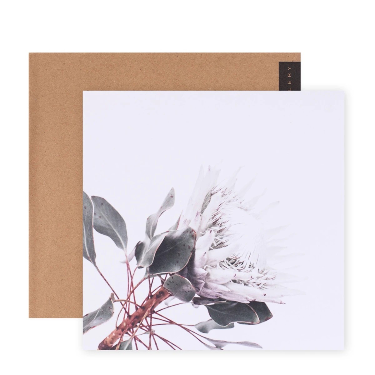 1 Hallmark x Donna Delaney Gallery Blank Greeting Card - King White Protea, 1 of 3