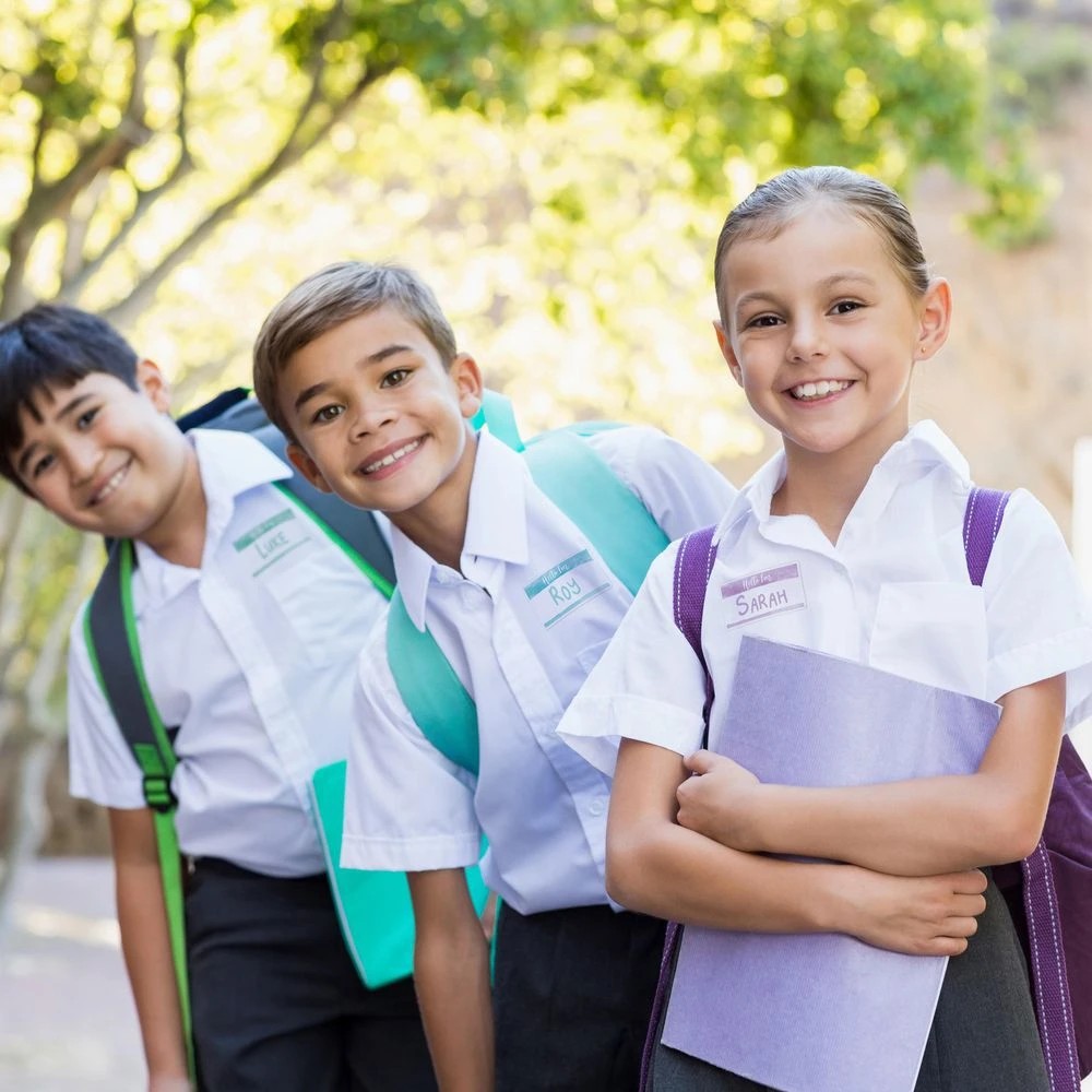 8 Avery 8UP Fabric Laser Name Badge Labels 15 Sheets, 8 of 8