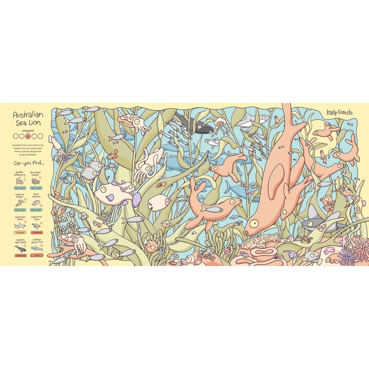 4 Australian Animals: From Beach to Bush by Brentos - Book, 4 of 5