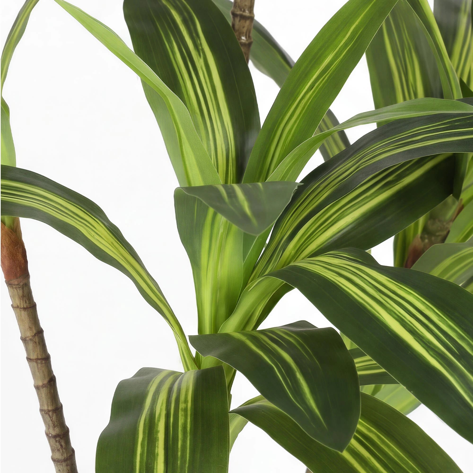 4 Lambu 6Ft Artificial Dracaena Tree With Tall Pot - White, 4 of 9