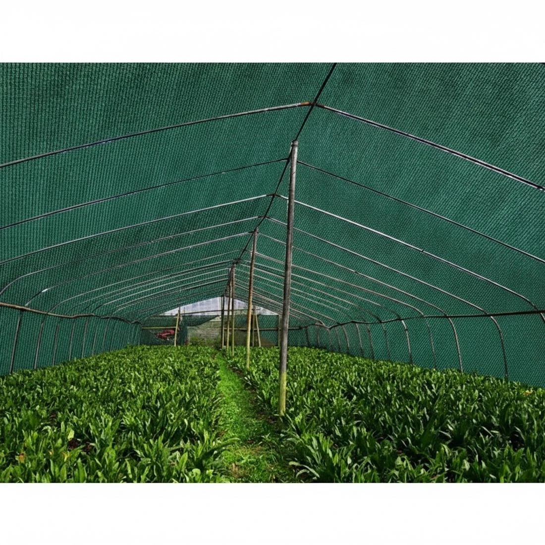 4 Instahut 70% Shade Cloth 3.66x30m Shadecloth Sail Heavy Duty - Green, 4 of 5