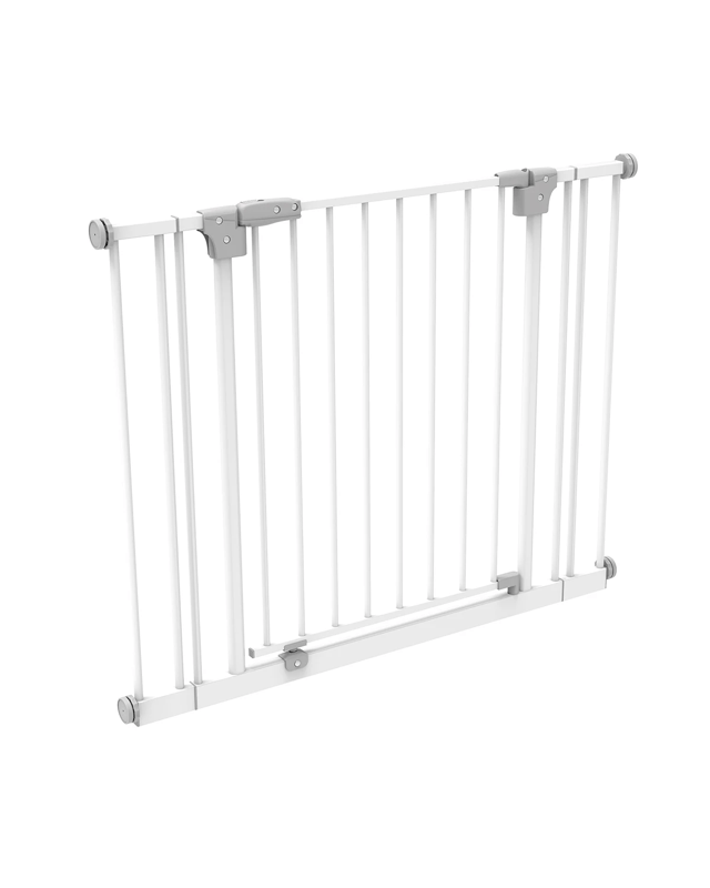 Metal Gate with Extens