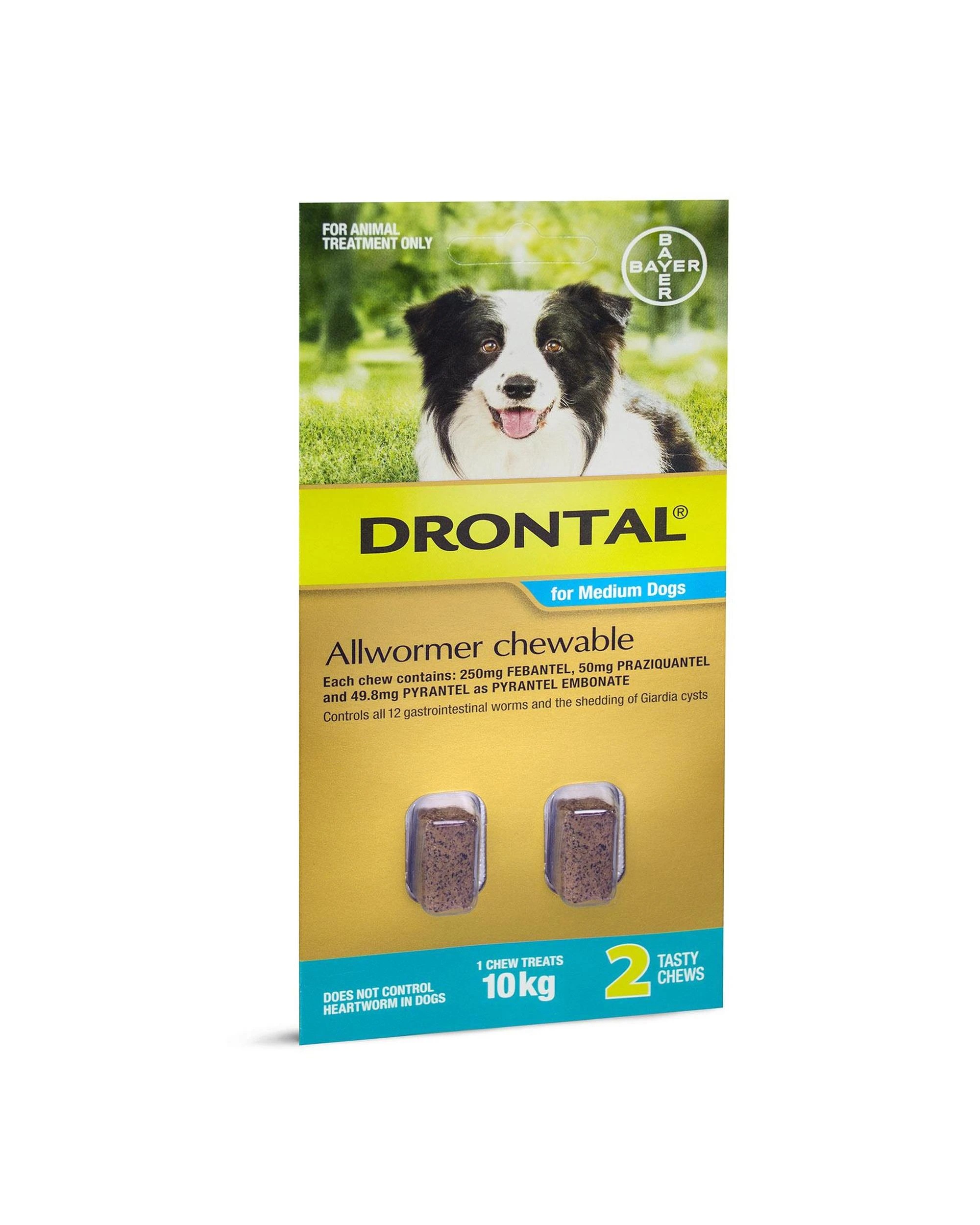 1 Drontal Chewable Allwormer for Dogs Medium 3-10kg 2 Pack, 1 of 1
