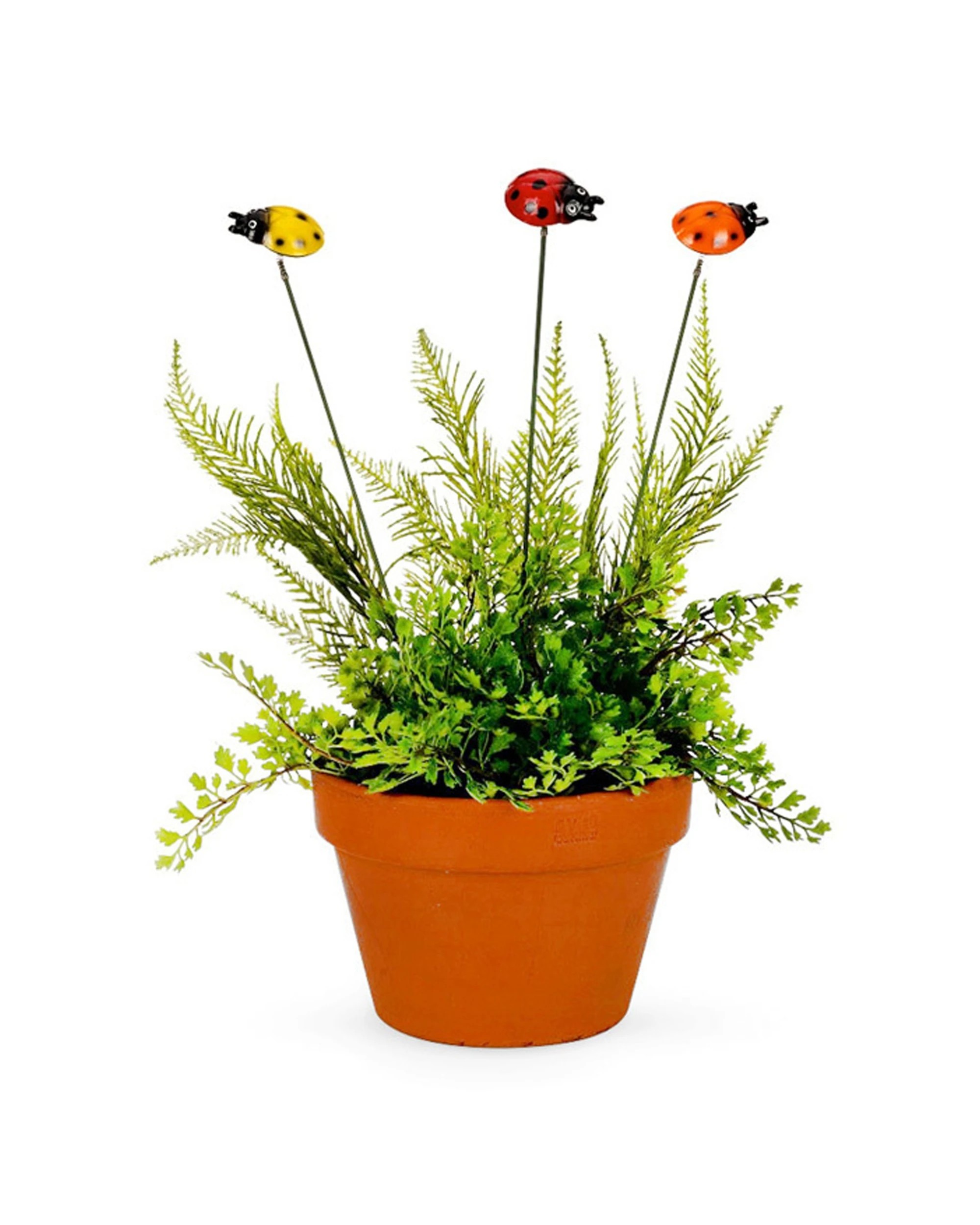 2 Alfresco 12pk Garden 31x4cm Ladybugs On Stick With Plant Pot Decor Small - Multi, 2 of 2