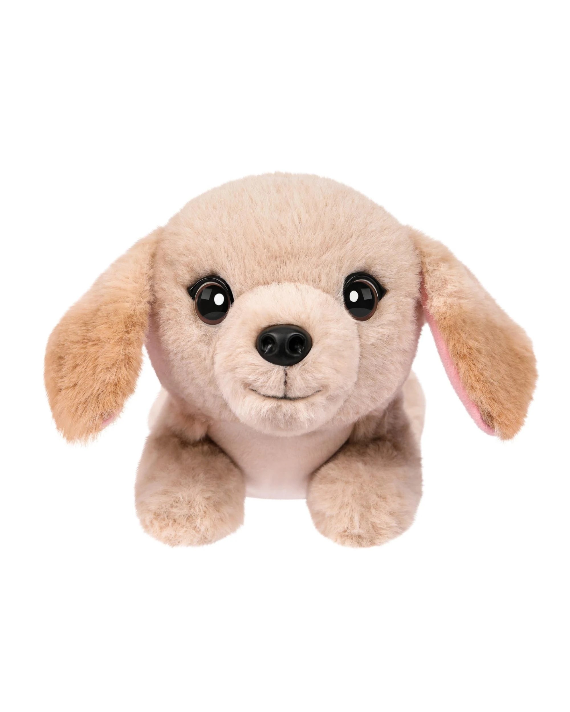 6 Little Live Pets My Really Real Mini Puppy Buddy, 6 of 10