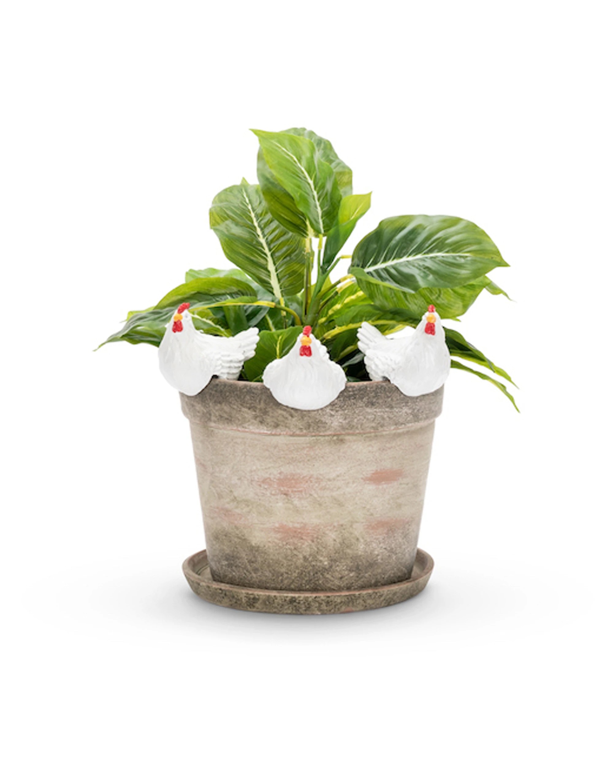 3 Alfresco Chicken 10cm Pot Planter Sitter Ornament Decor Large - Multi, 3 of 3