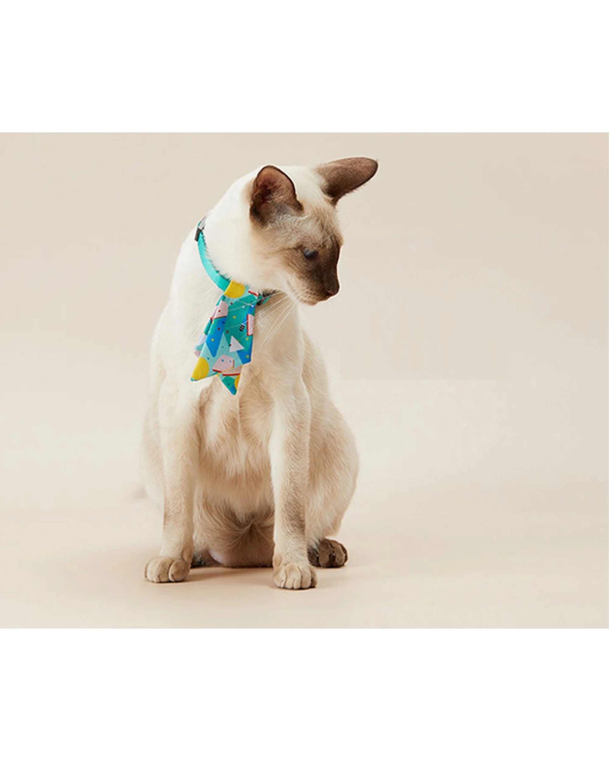 3 Petkit Pet Necktie Collar - Story Of Nature Adjustable Silk Polyester Bow Design - Multi, 3 of 5