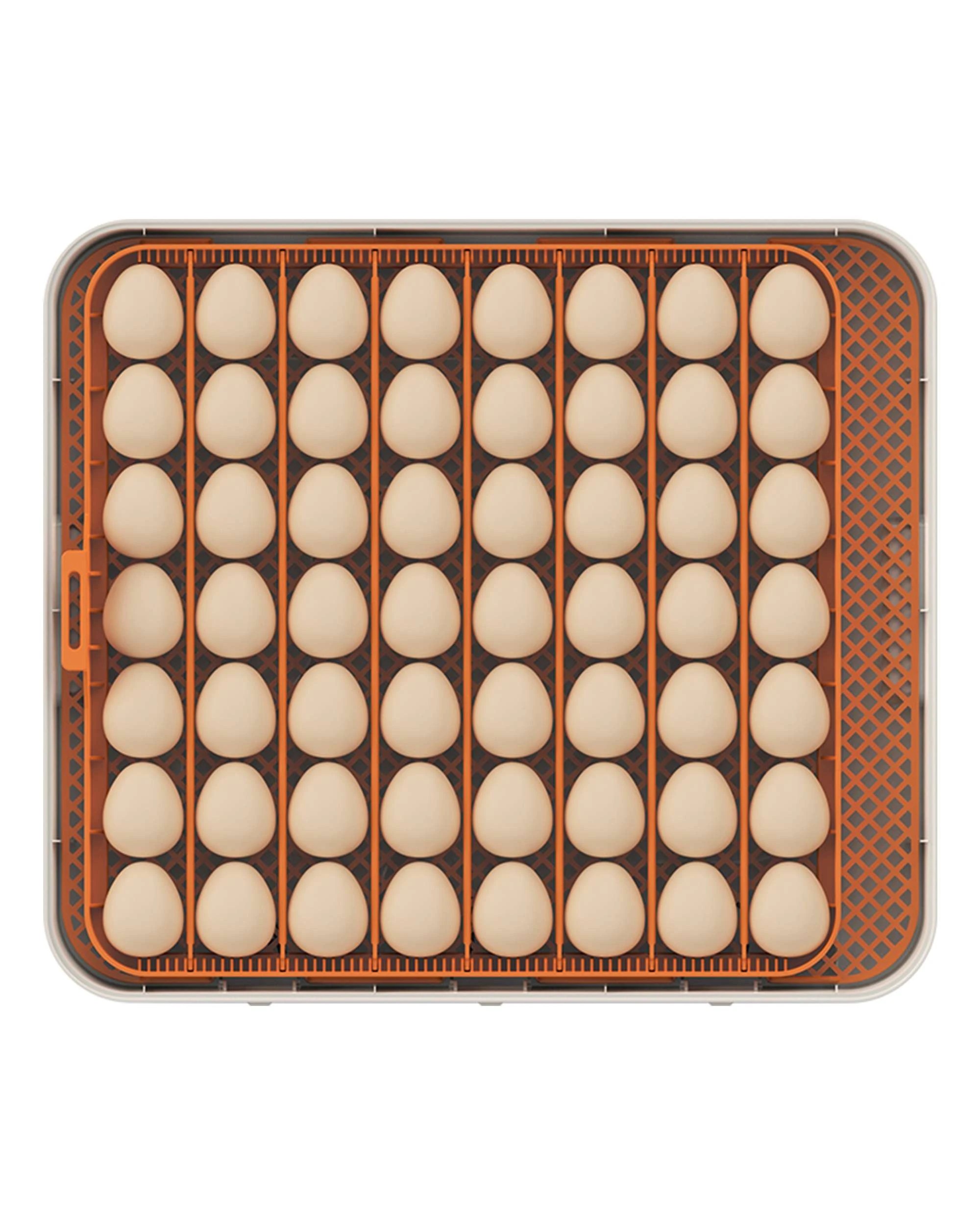 6 Advwin 56 Egg Incubator Automatic Egg Turner Egg Candler, 6 of 9