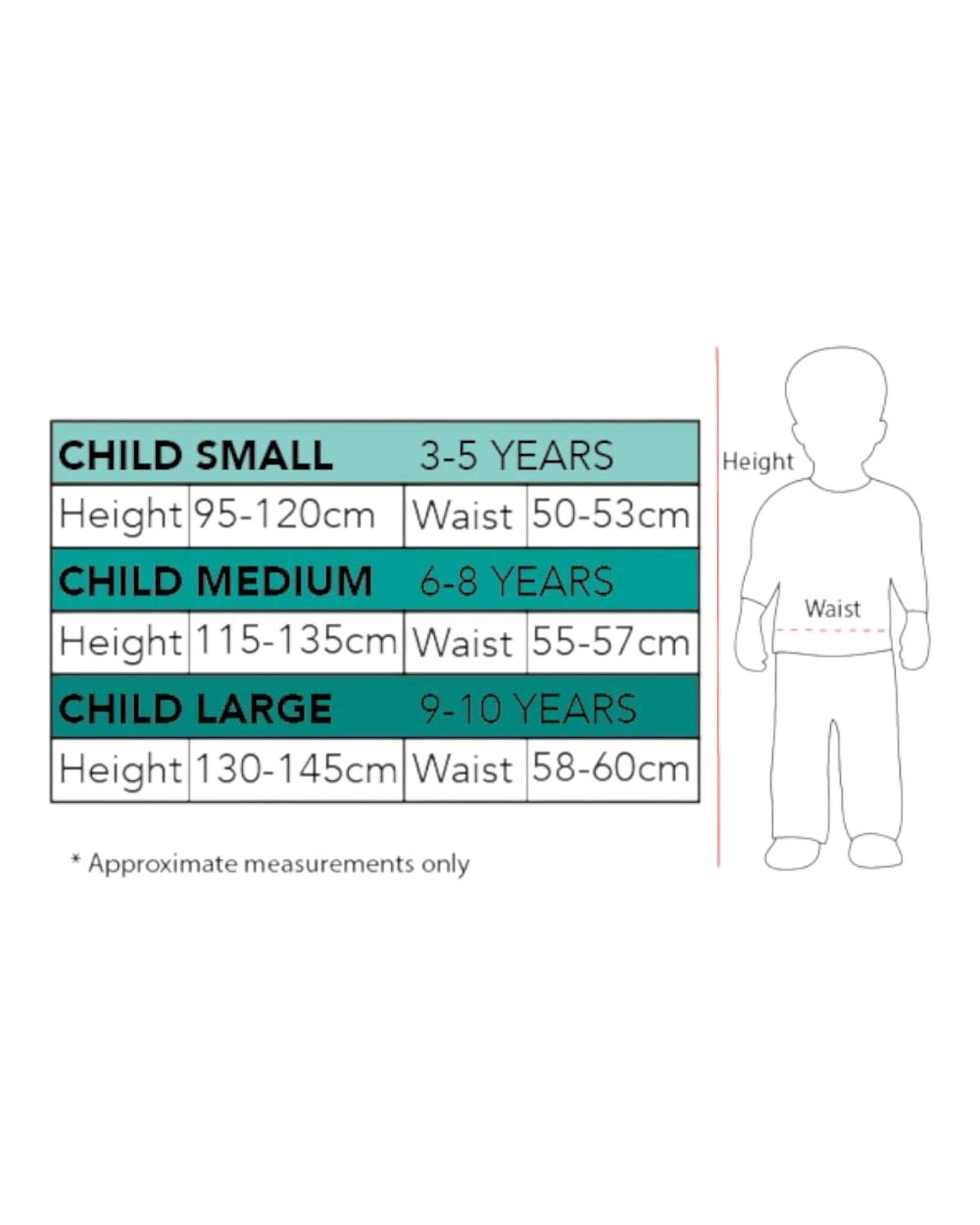 5 Disney Princess Belle Ultimate Princess Celebration Costume Size 3-5 Years, 5 of 5