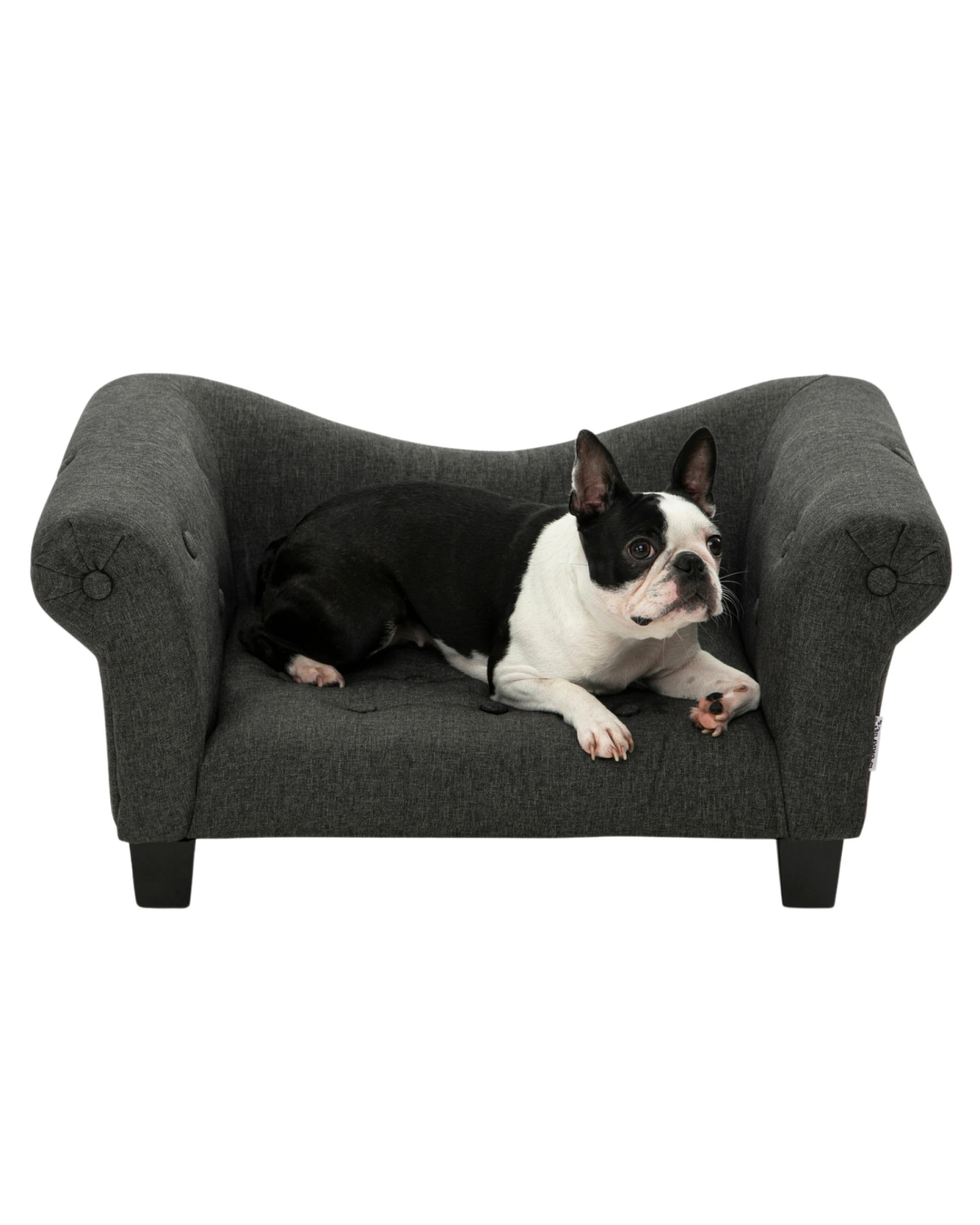 2 Charlie's Luxe Dog Sofa 72x41x33cm - Charcoal, 2 of 6