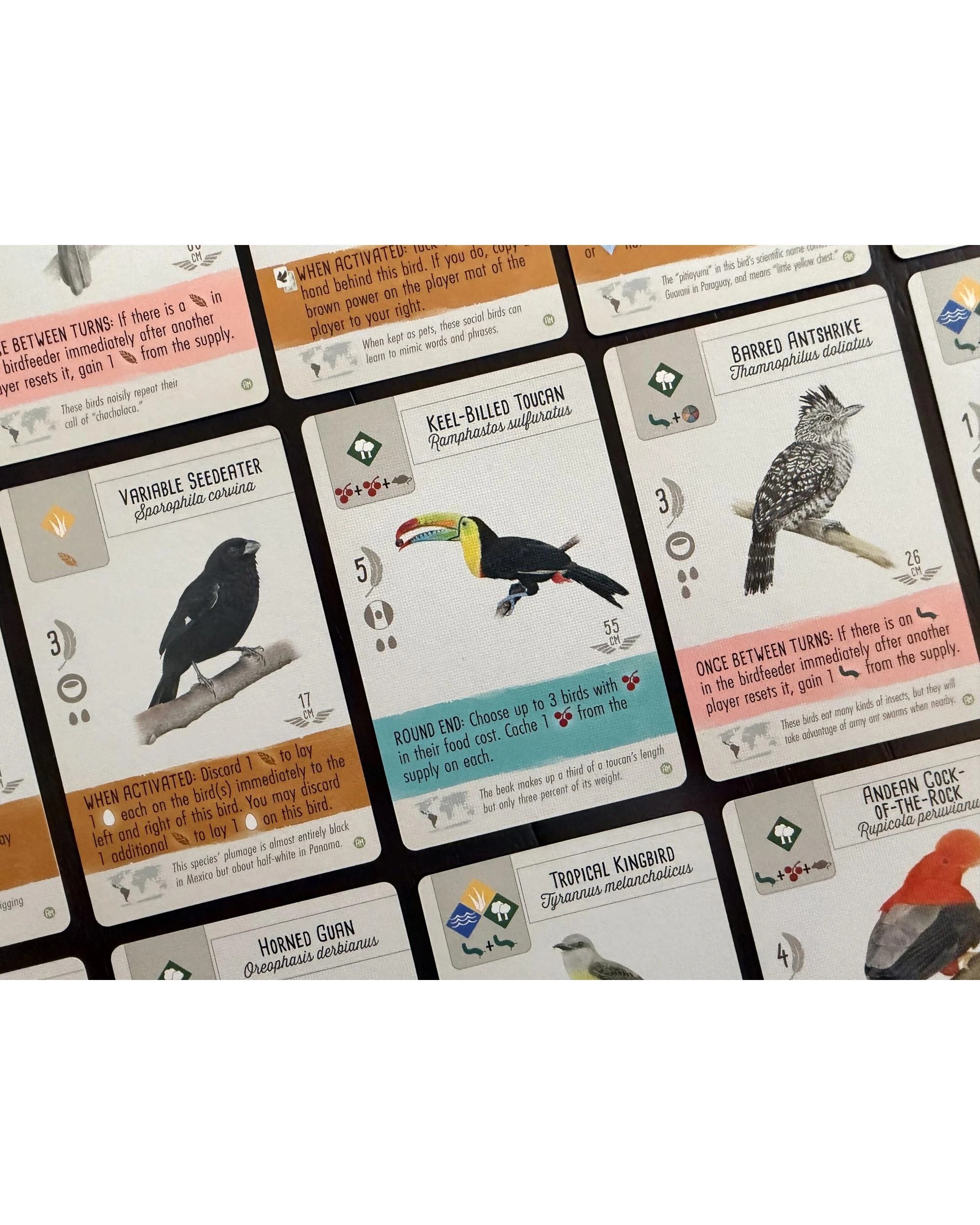 7 Wingspan Americas Expansion Board Game, 7 of 10