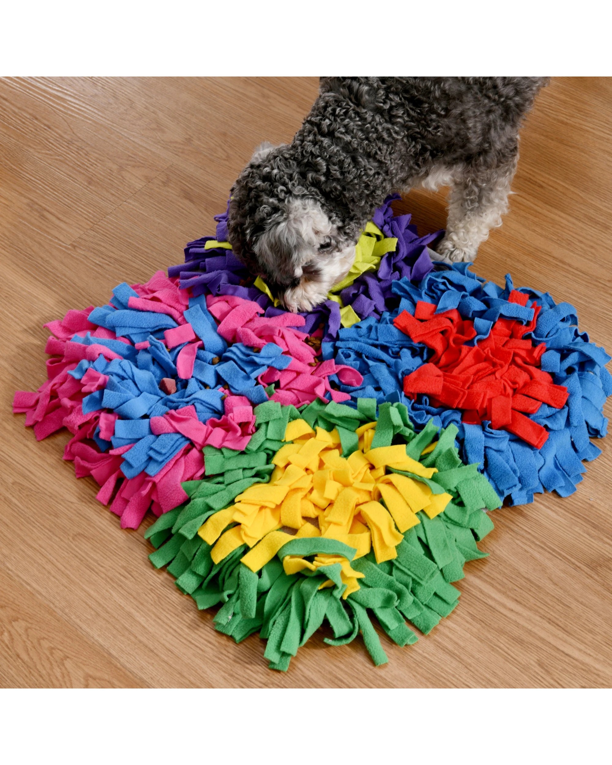 2 Charlie's Snoofy Snuffle Mat 4-Quadrant Multicolour 47x47cm - Rainbow, 2 of 5