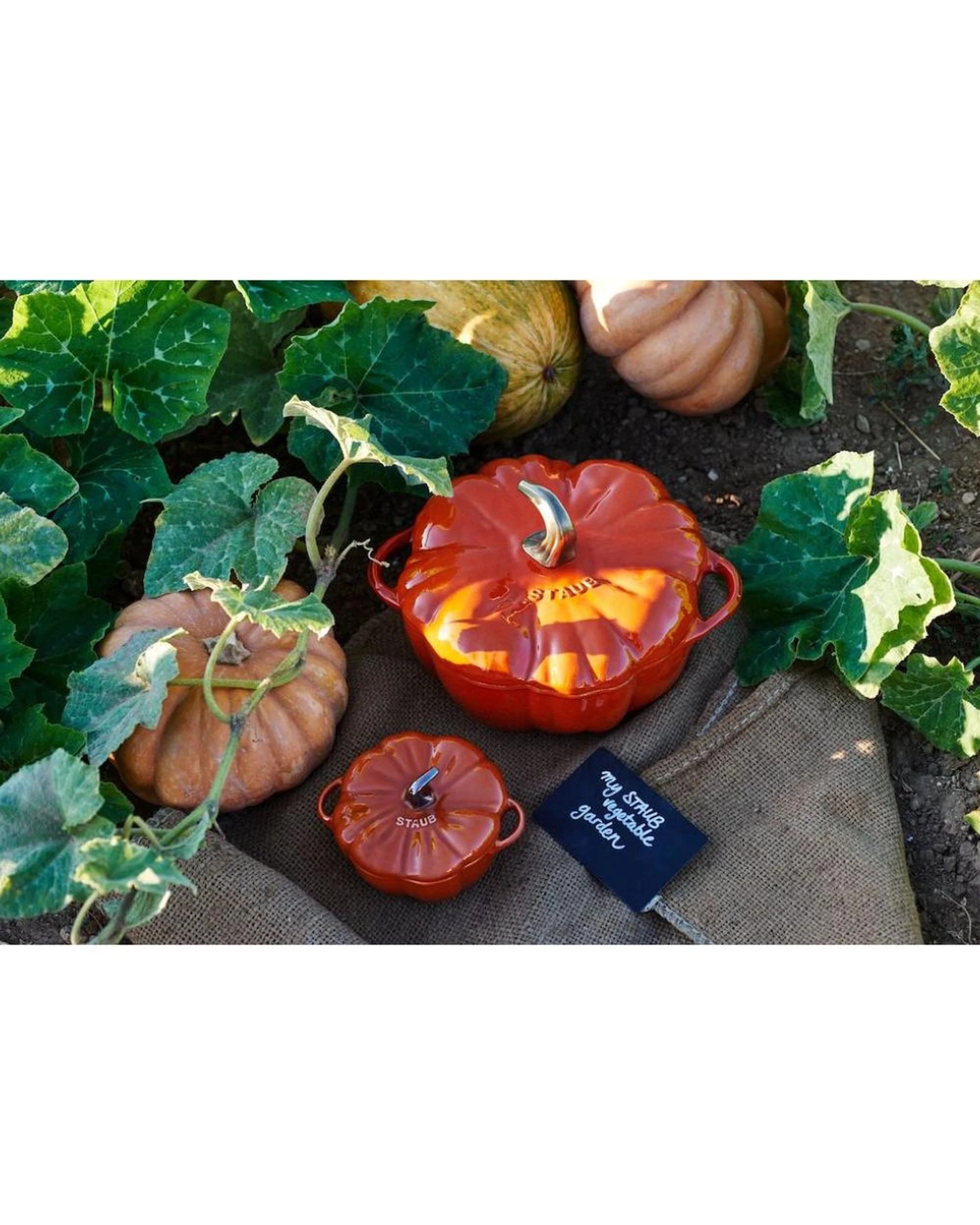 2 Staub Enamelled Pumpkin Cocotte 0.5L - Orange, 2 of 3