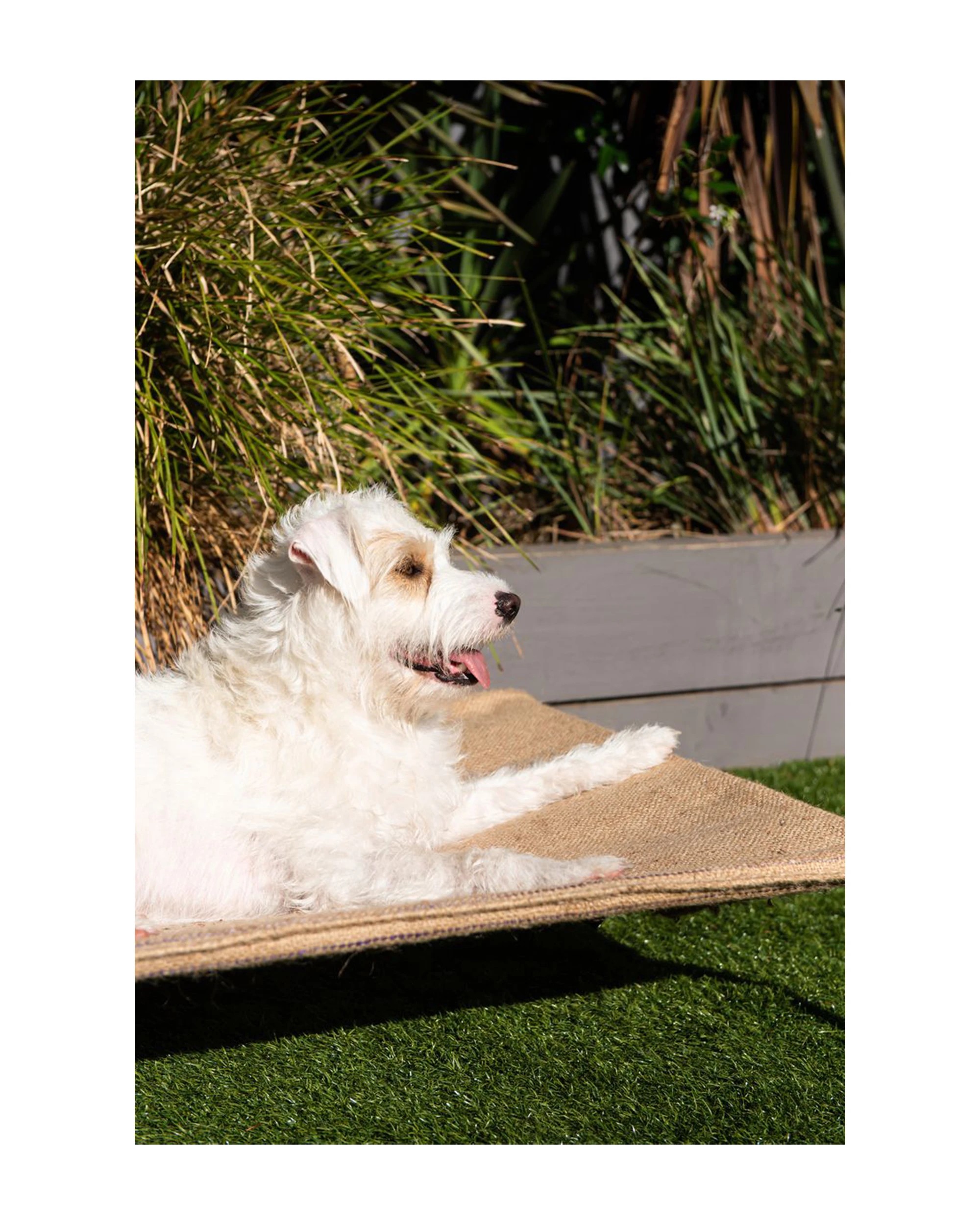 4 Superior Pet Fitted Hessian Dog Bed Replacement Cover Mini, 4 of 4