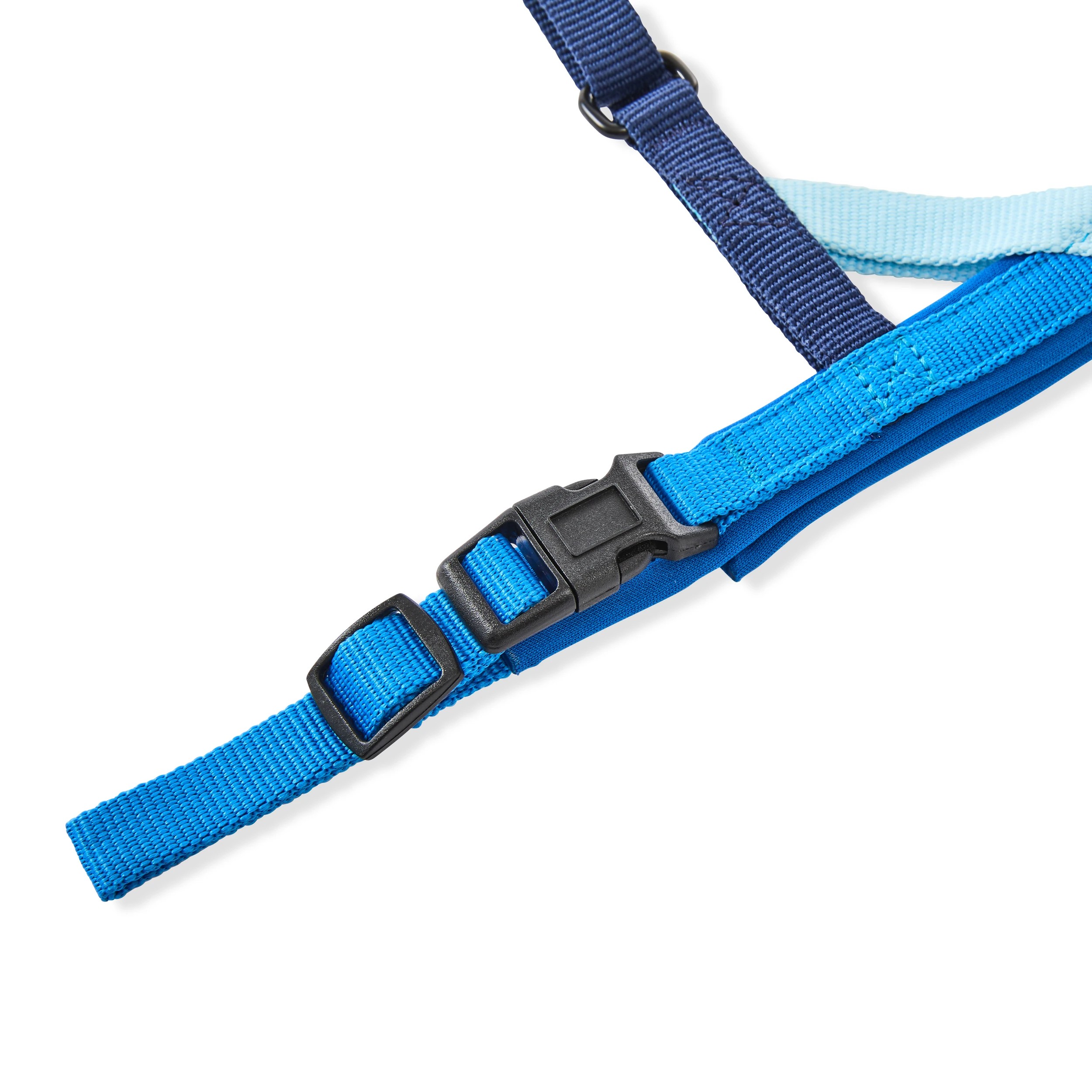 4 Pet Walking Set - Small, Blue, 4 of 5