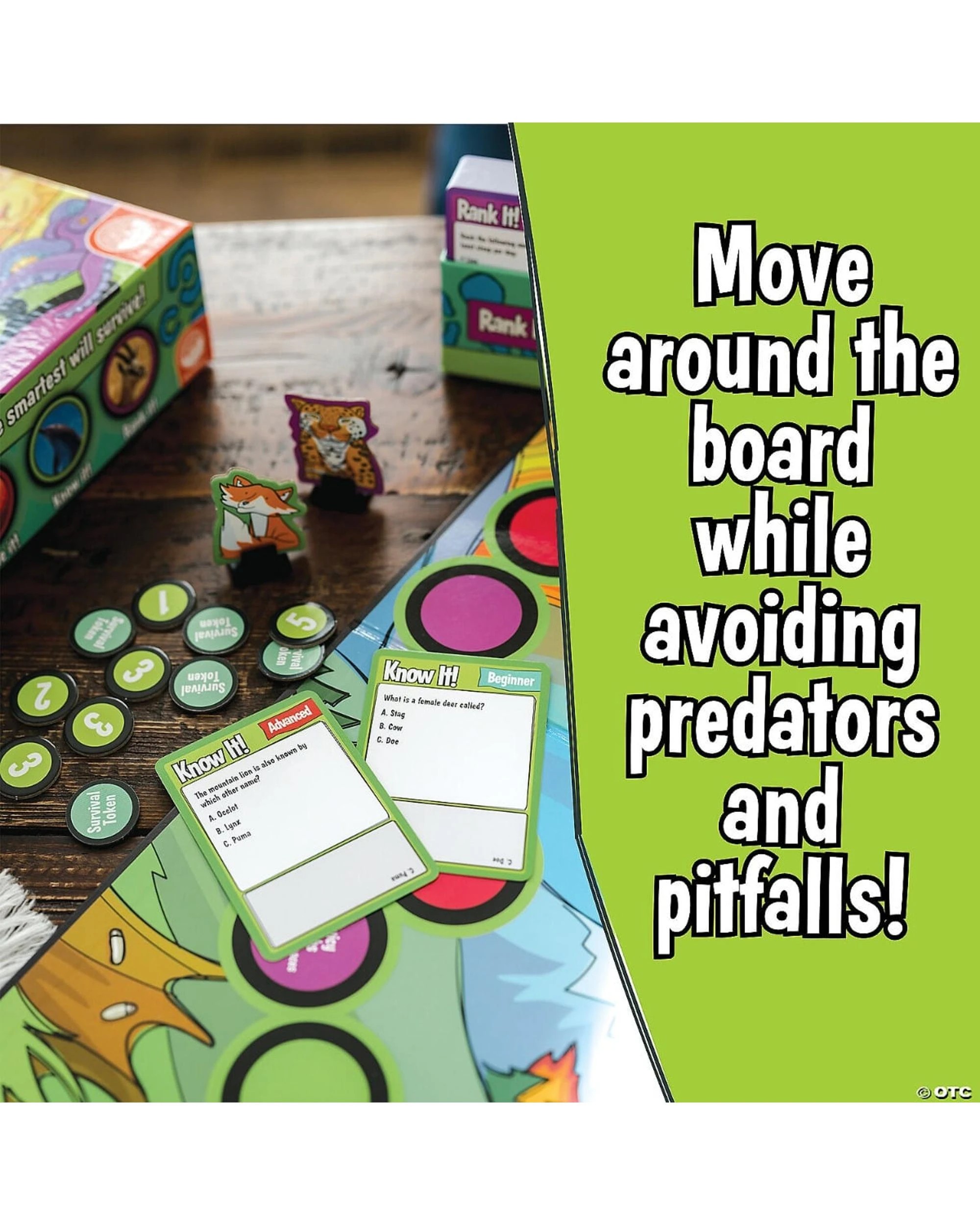 3 Animal Trivia Challenge Board Game, 3 of 5