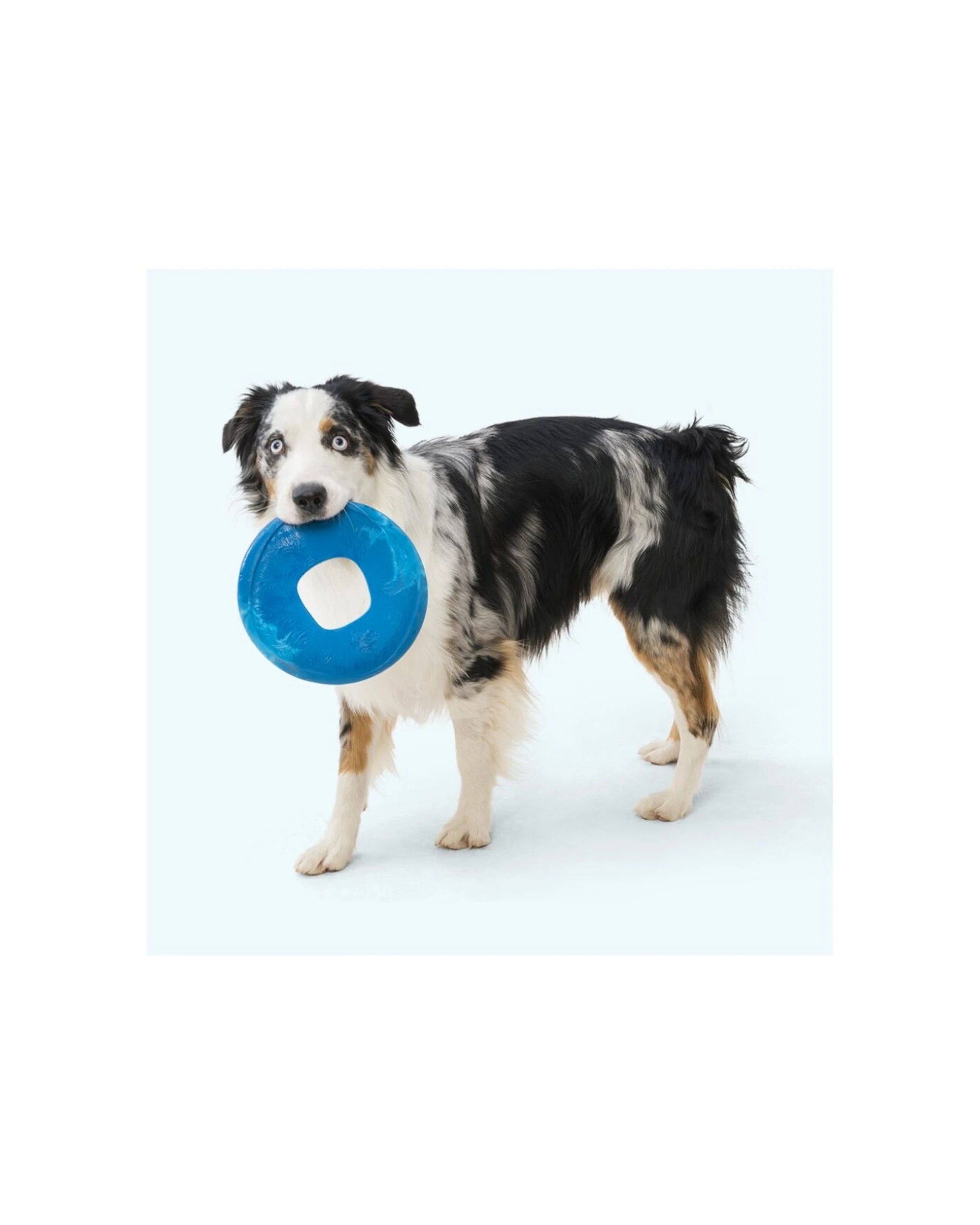 3 West Paw Sailz Discus Golf Dog Toy Large Soft Chew Recycled Plastic Floats - Green, 3 of 3