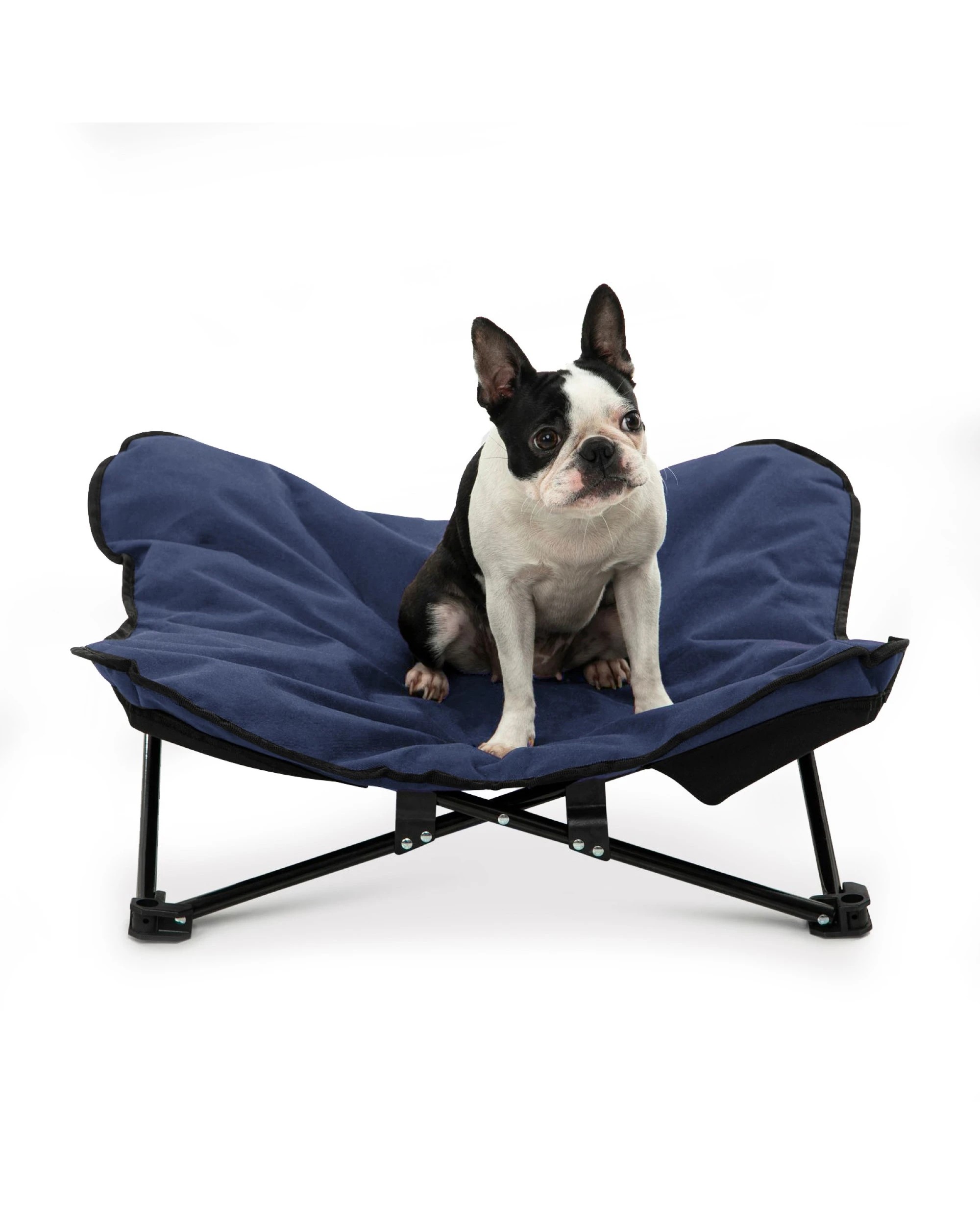 2 Charlie's Butterfly Foldable Outdoor Camping Dog Bed Medium - Blue, 2 of 9