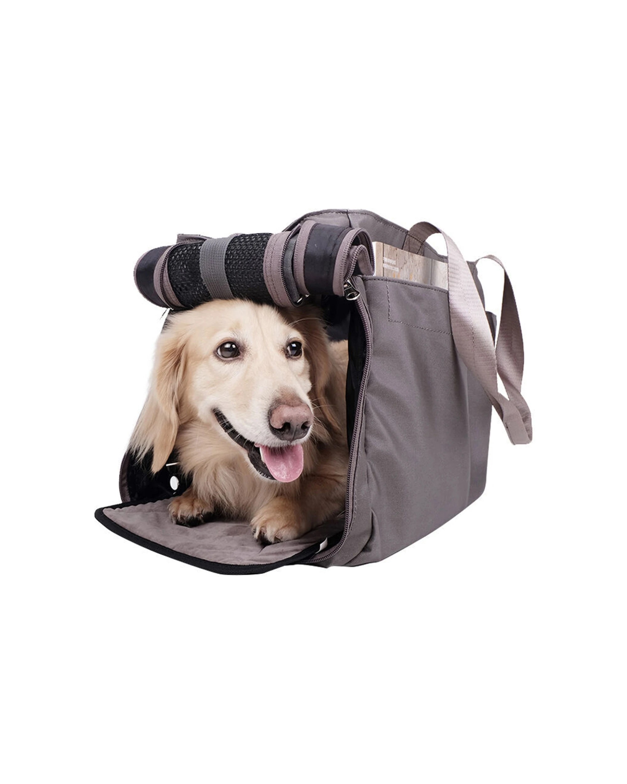 3 Ibiyaya Outdoor Canvas Pet Carrier Tote Bag Ventilated With Safety Tether - Grey, 3 of 3
