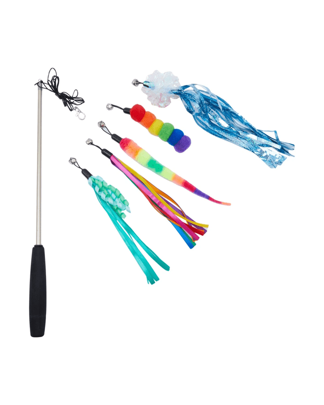 Cat Toy Multi Teaser 