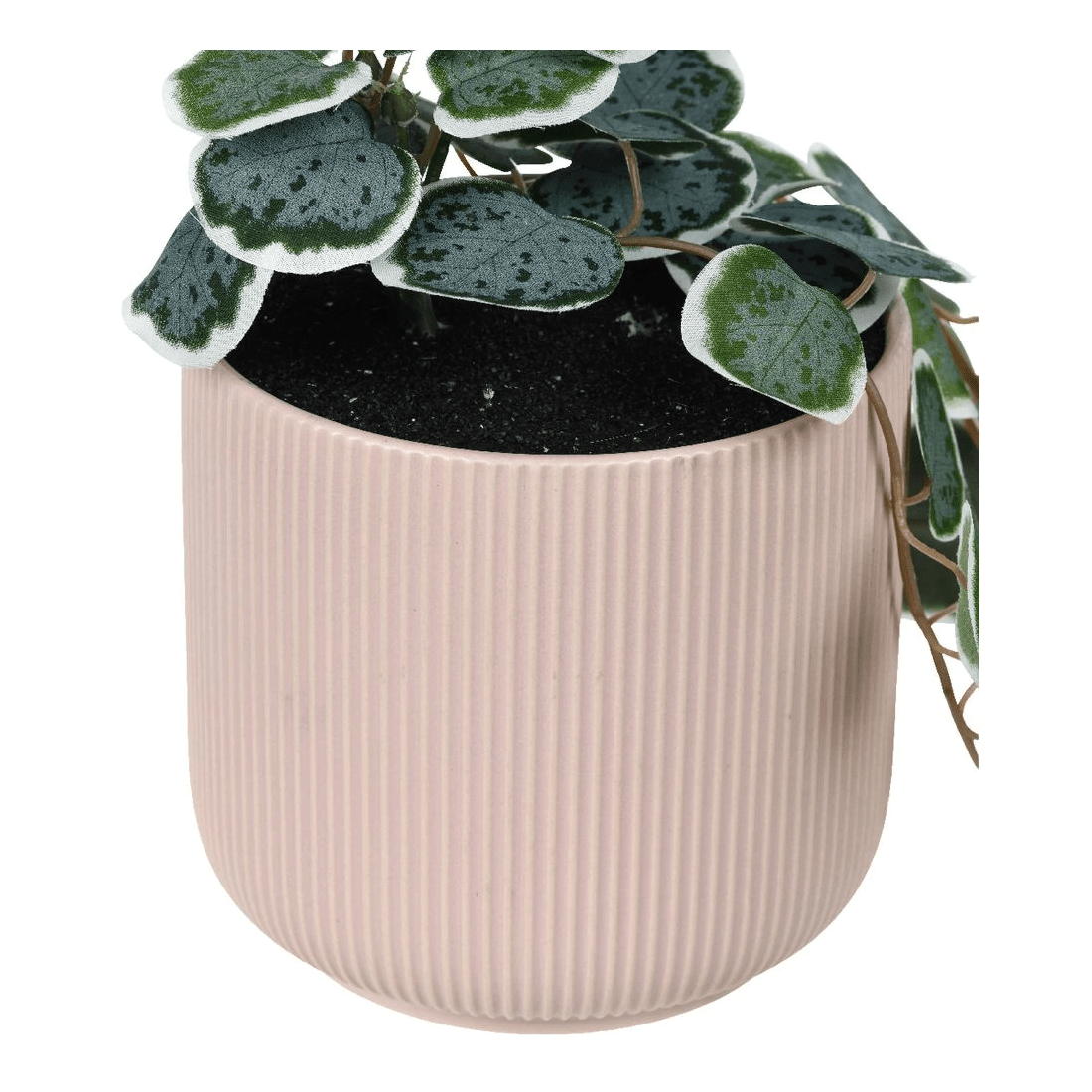 3 Otto Ribbed Hanging Planter with Plant Pink, 3 of 3