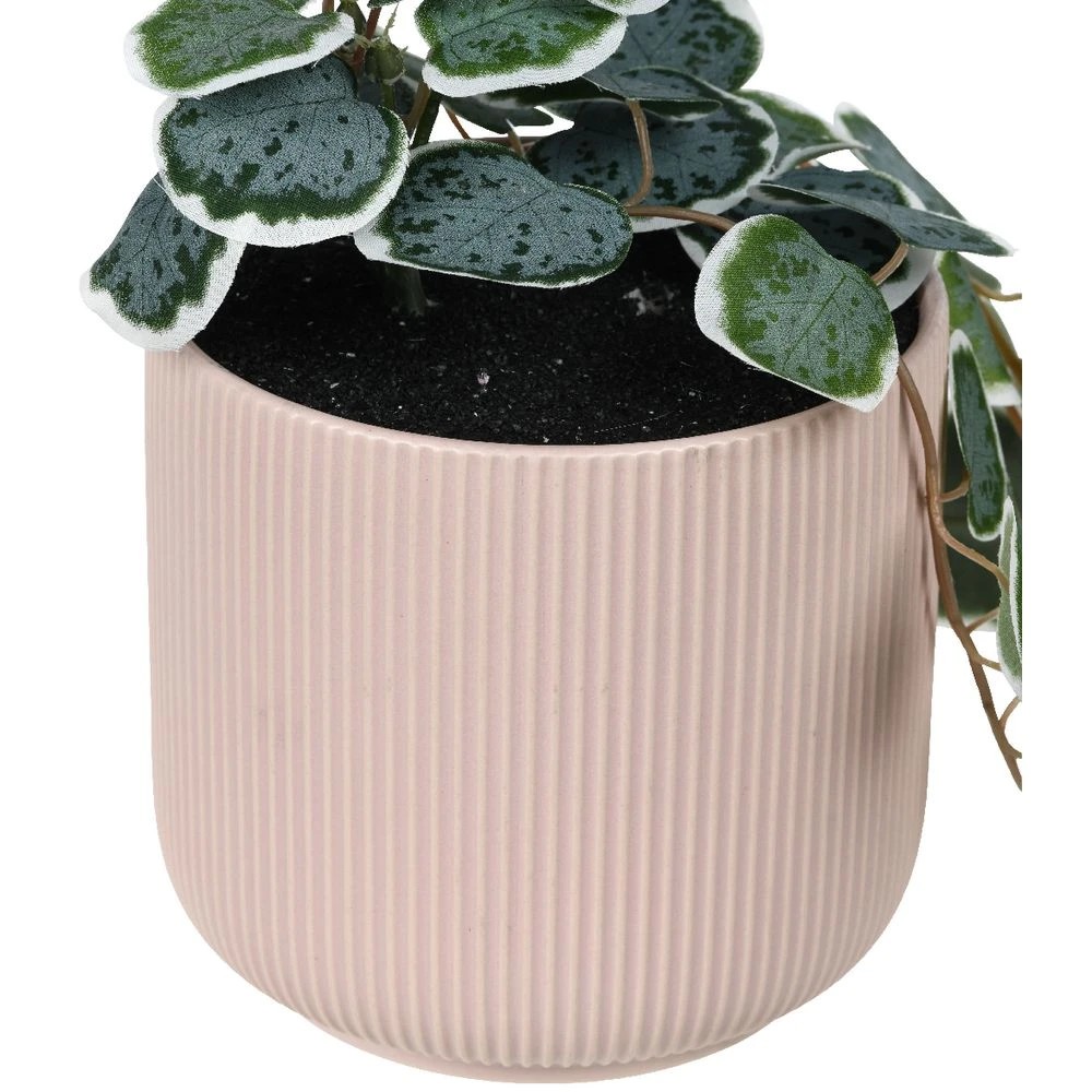3 Otto Ribbed Hanging Planter with Plant Pink, 3 of 3