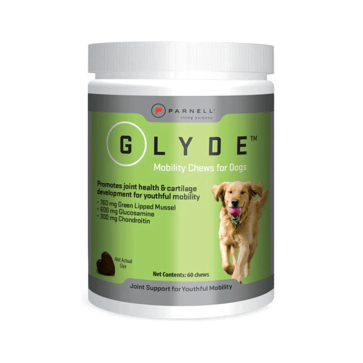 1 Glyde Mobility Chews For Dogs - 60 Chews, 1 of 1