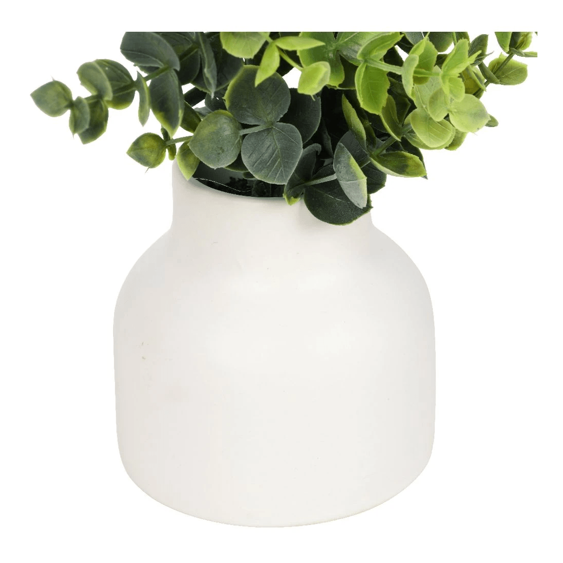 3 Otto Mini Plant Leaf, 3 of 3