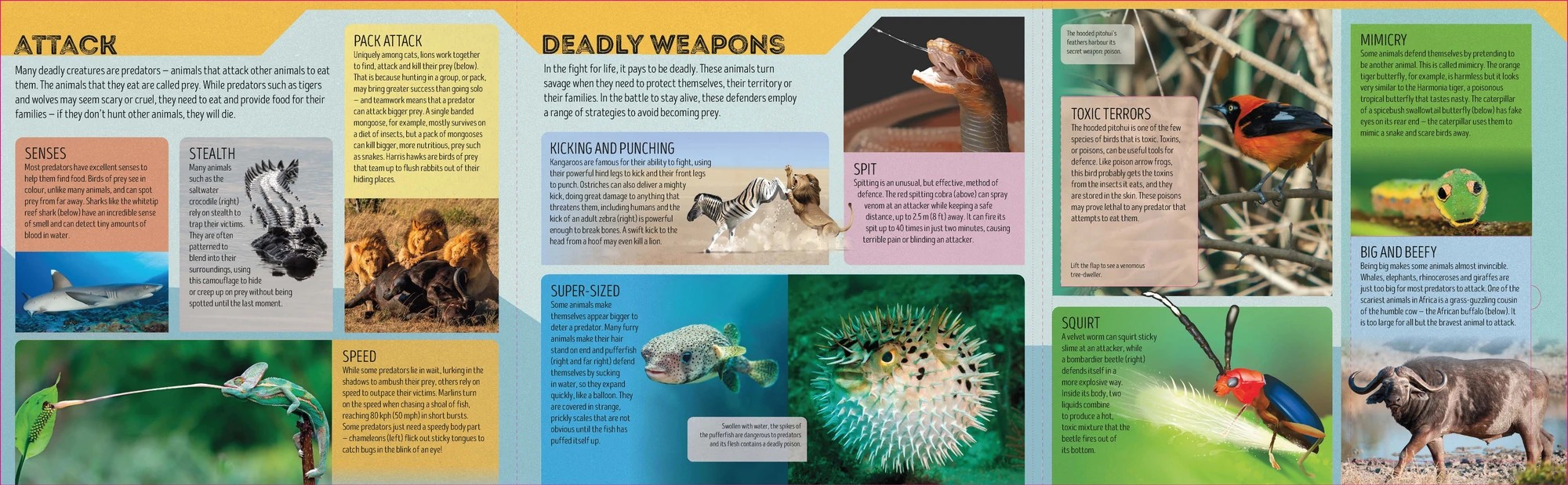 2 Lonely Planet Kids Deadly Animal Atlas by Camilla de la Bedoyere - Book, 2 of 5