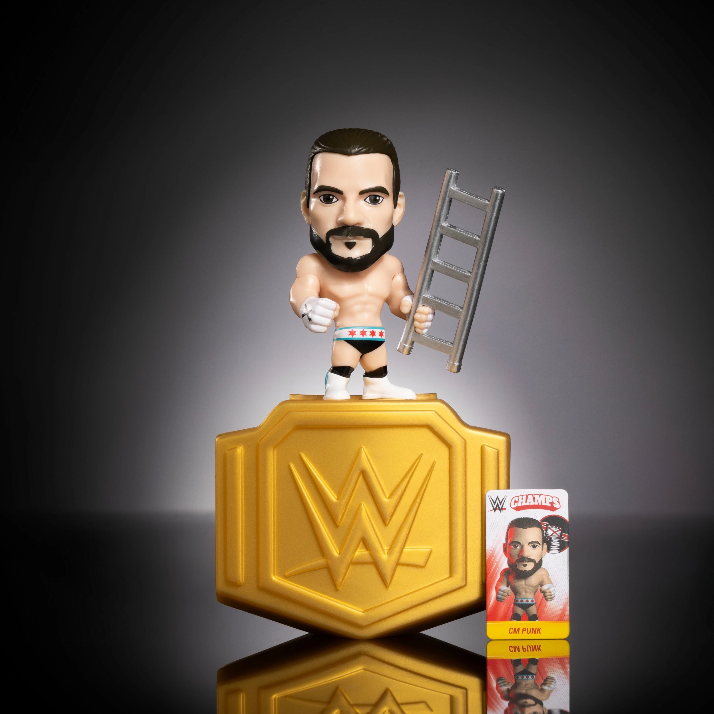 9 WWE Pop N Lock Champs - Assorted, 9 of 10