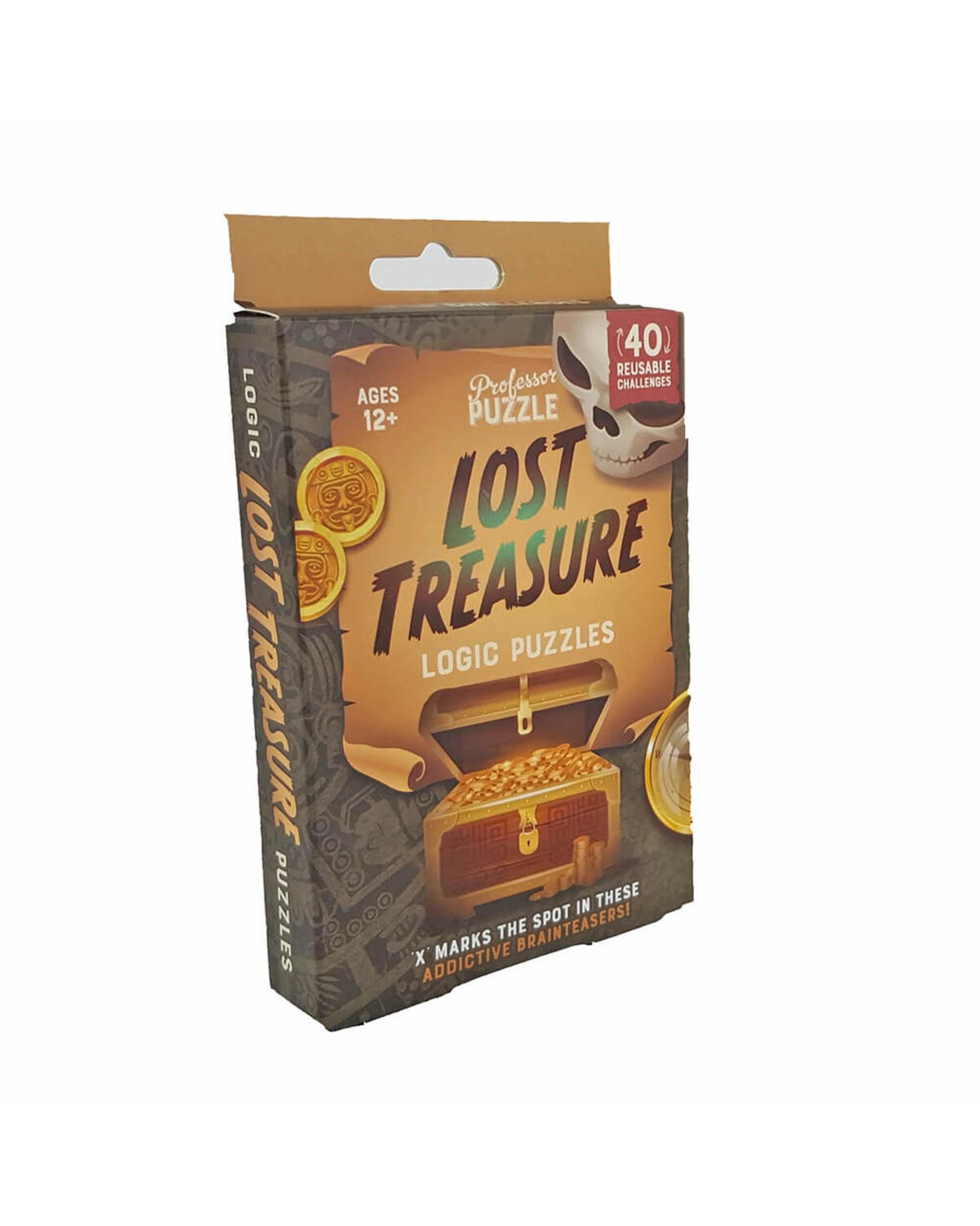1 Lost Treasure Professor Puzzle Logic Puzzles, 1 of 3