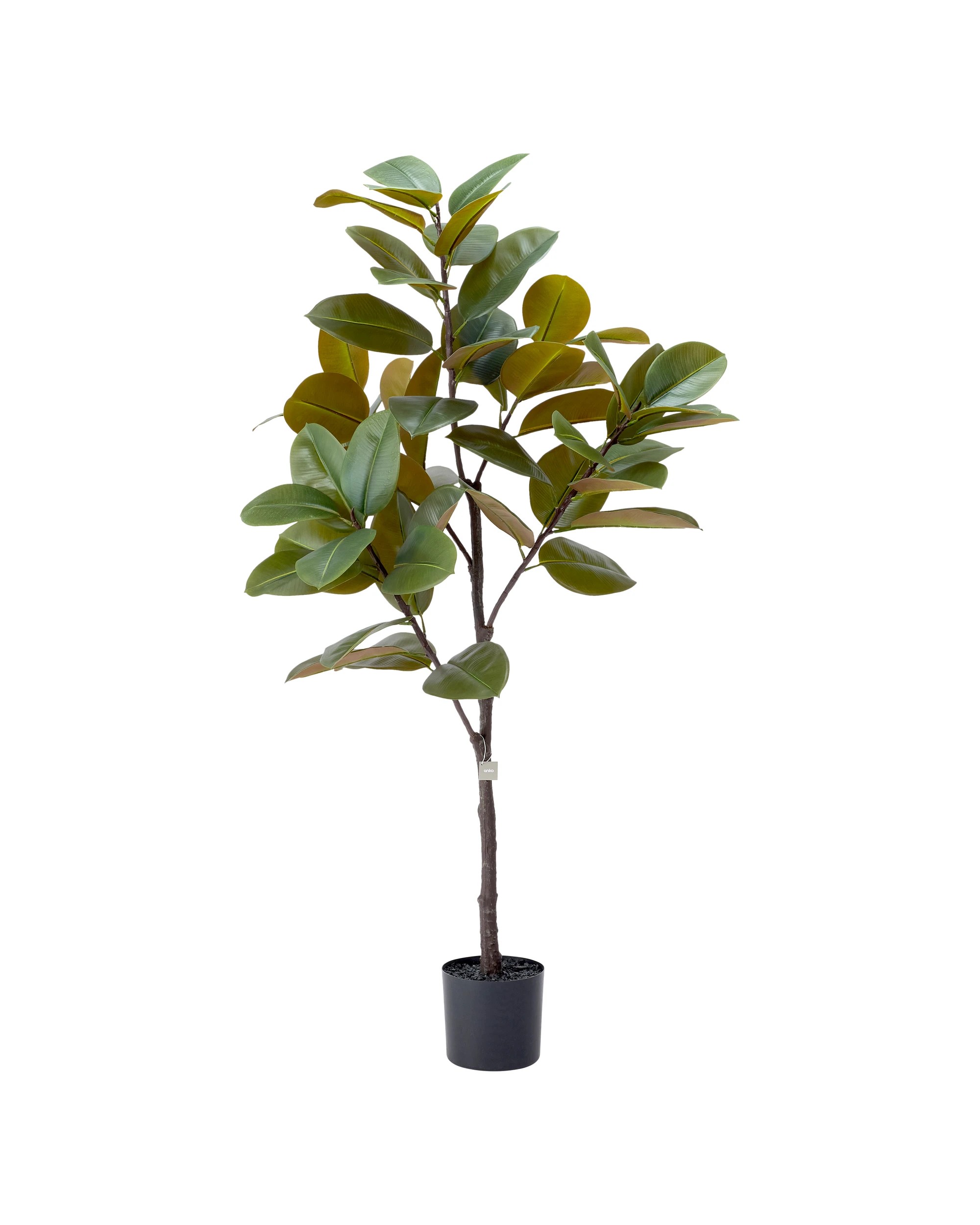 3 Extra Large Artificial Rubber Tree, 3 of 3