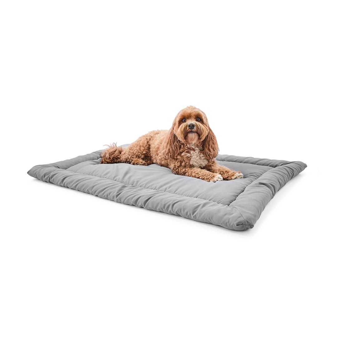 1 Pet Travel Bed Water Resistant - Large, 1 of 9