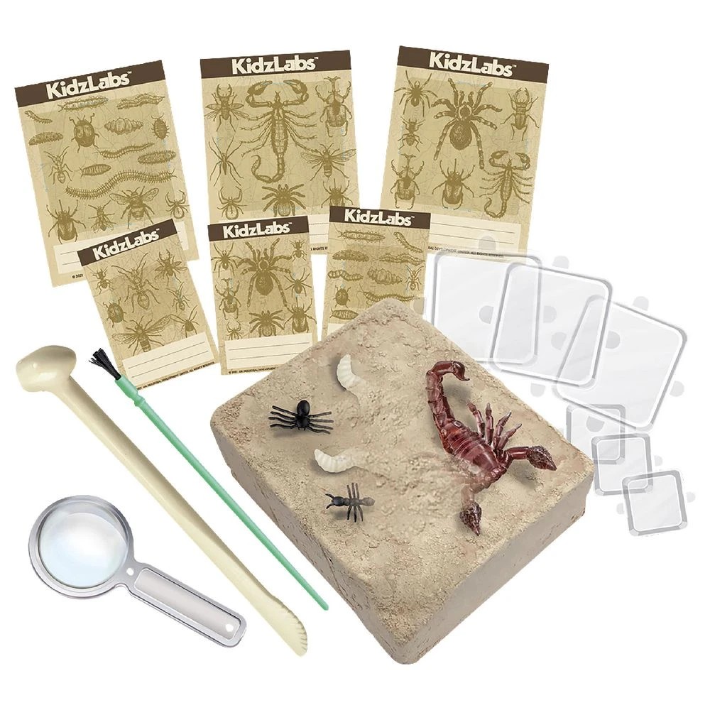 3 4M Kidzlabs Creepy Crawly Digging Kit, 3 of 6