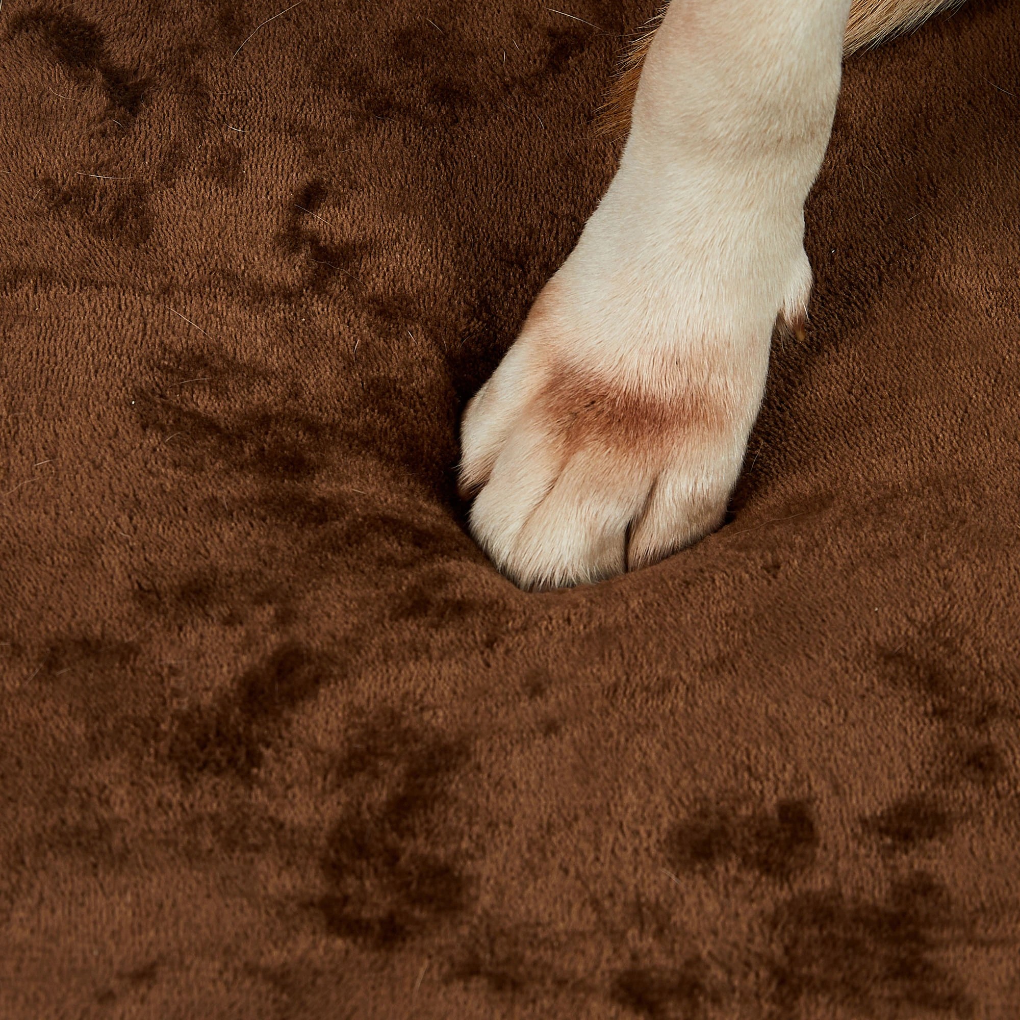 4 Pawz Orthopedic Memory Foam Dog Bed Medium, 4 of 7